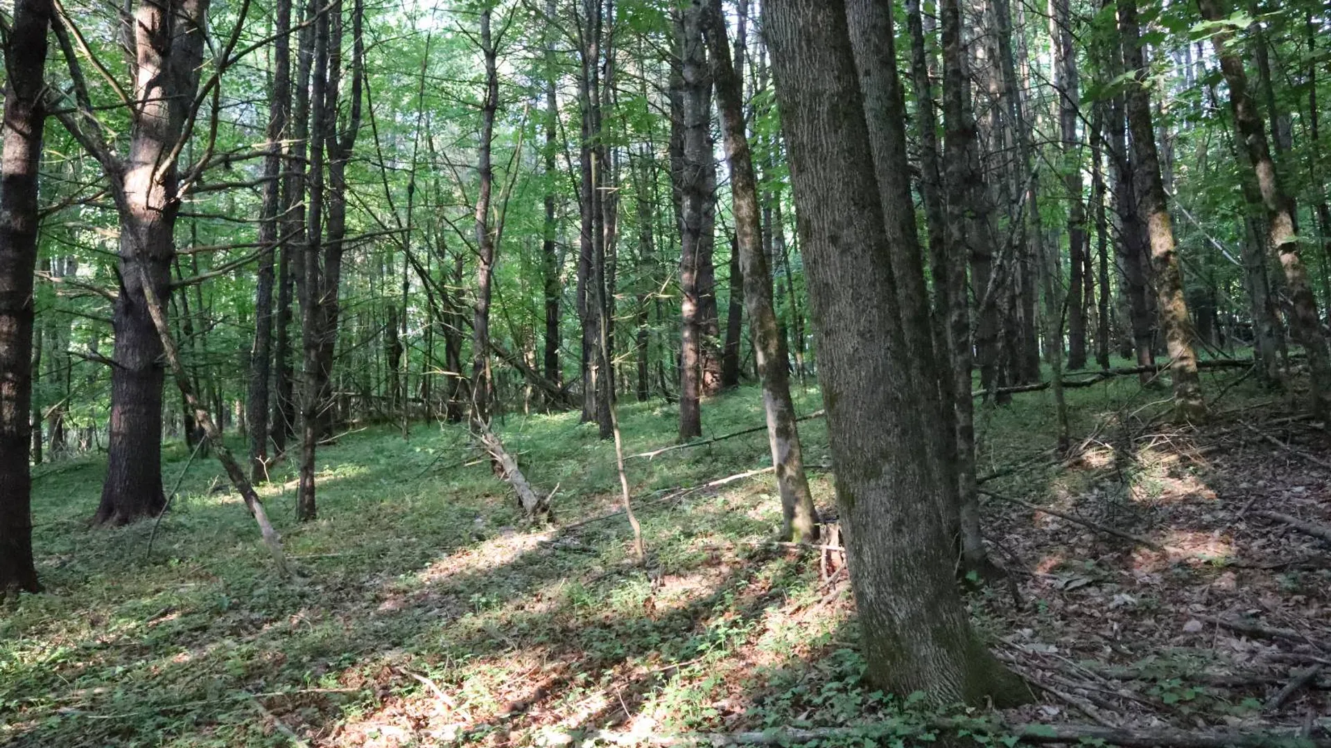 Property at 520 So Johnsburg Rd, Warrensburg, NY 12885 42