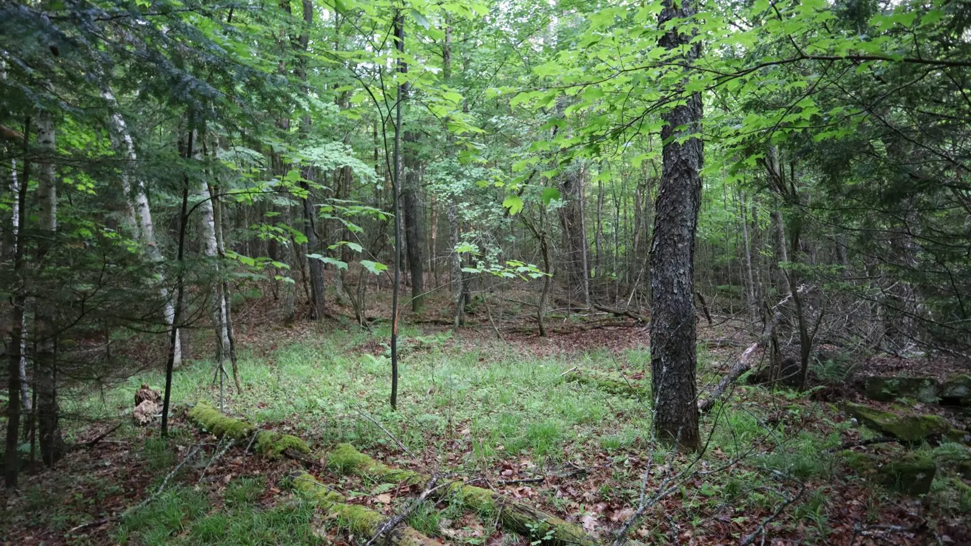 Property at 520 So Johnsburg Rd, Warrensburg, NY 12885 46