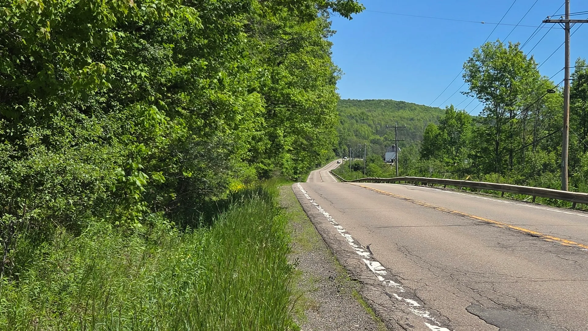 Property at NY State Route 446, Cuba, NY 14727 5