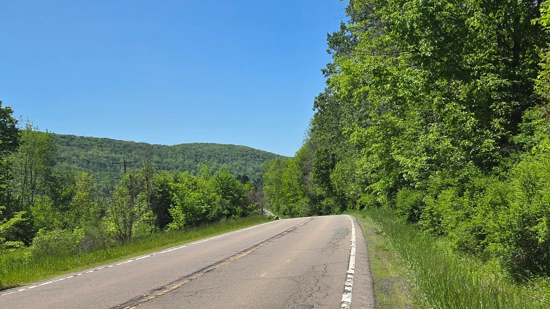 Property at NY State Route 446, Cuba, NY 14727 7