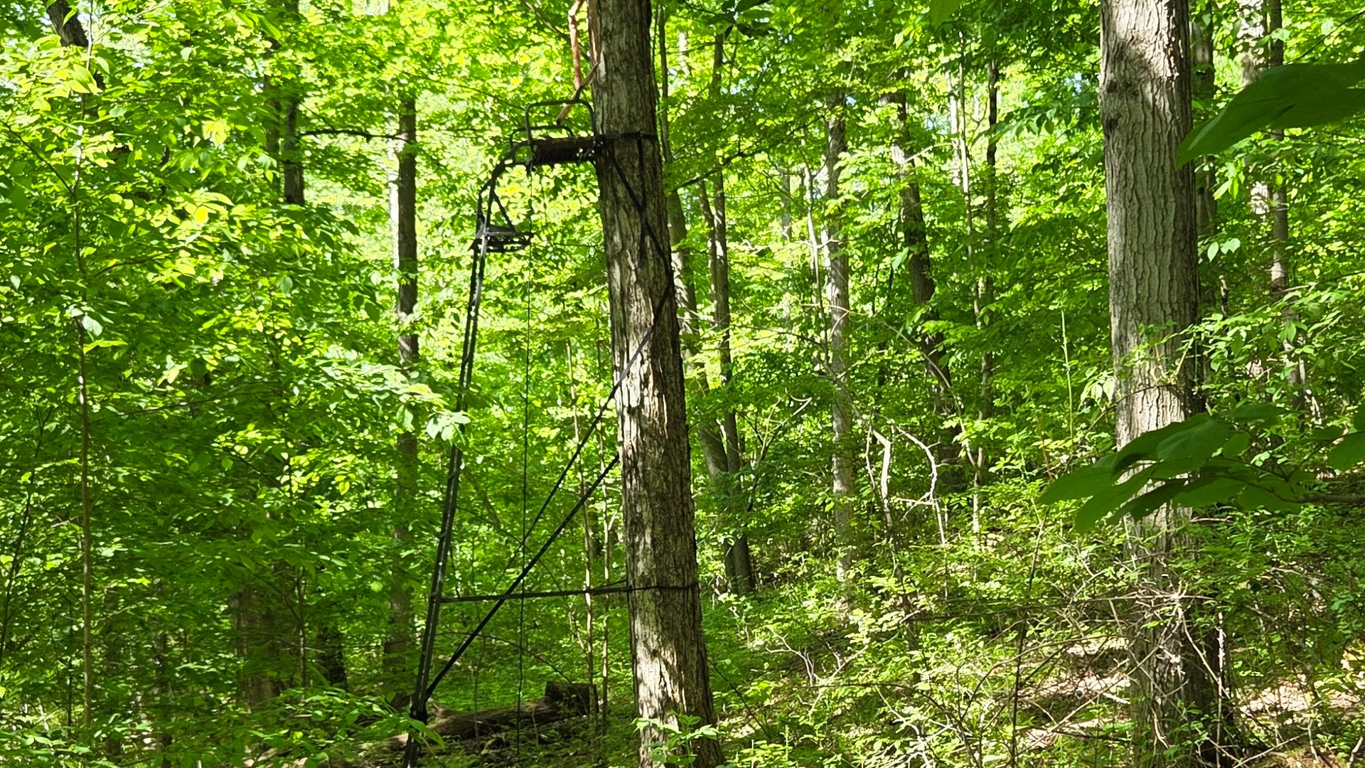 Property at NY State Route 446, Cuba, NY 14727 31