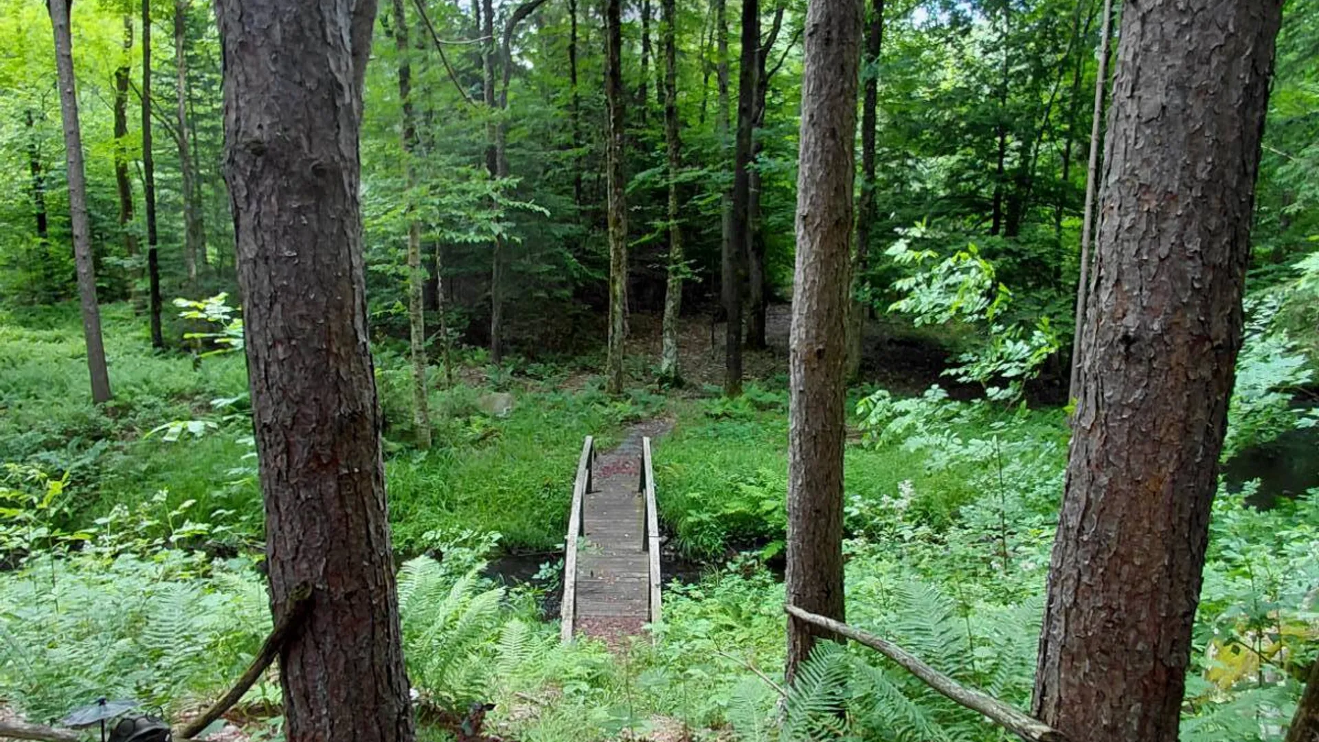 Property at 955 Irish Settlement Rd, Dolgeville, NY 13329 22