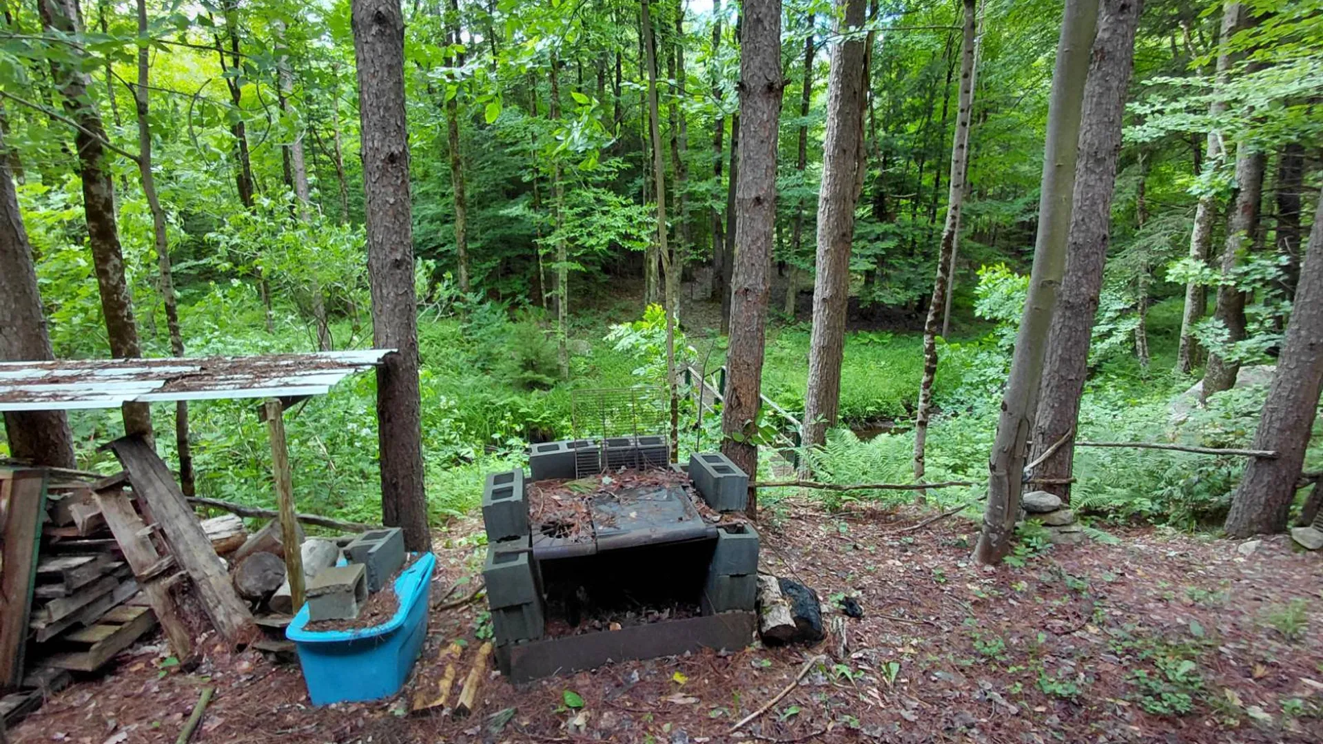 Property at 955 Irish Settlement Rd, Dolgeville, NY 13329 25