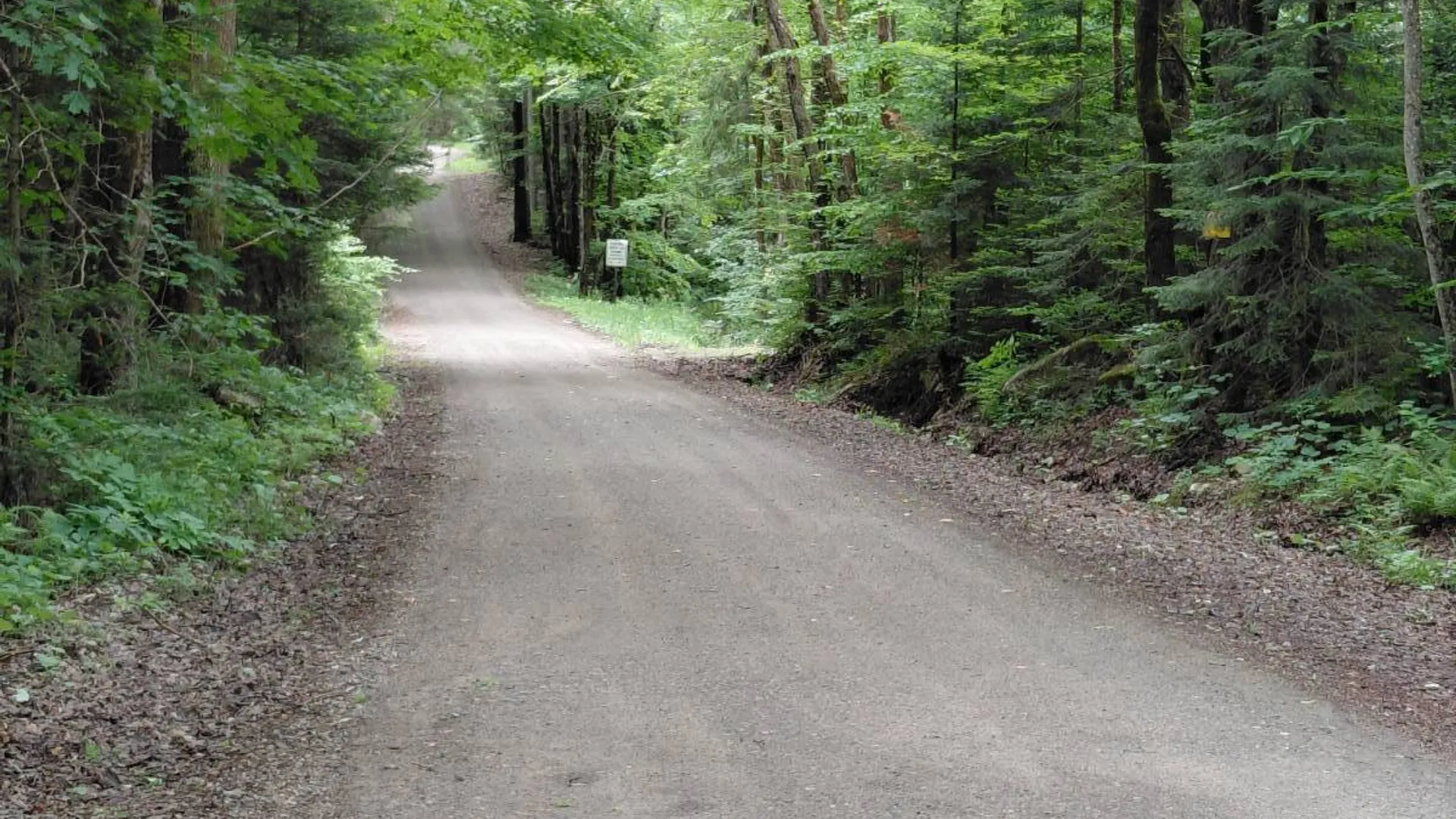 Property at 955 Irish Settlement Rd, Dolgeville, NY 13329 30
