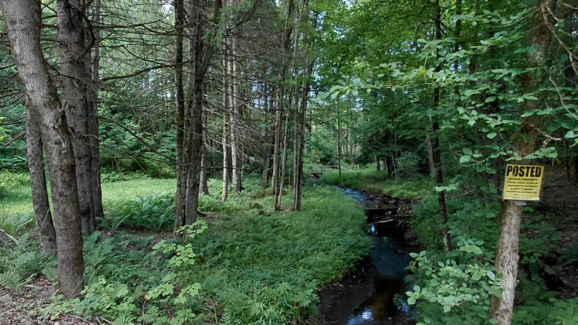 Property at 955 Irish Settlement Rd, Dolgeville, NY 13329 34