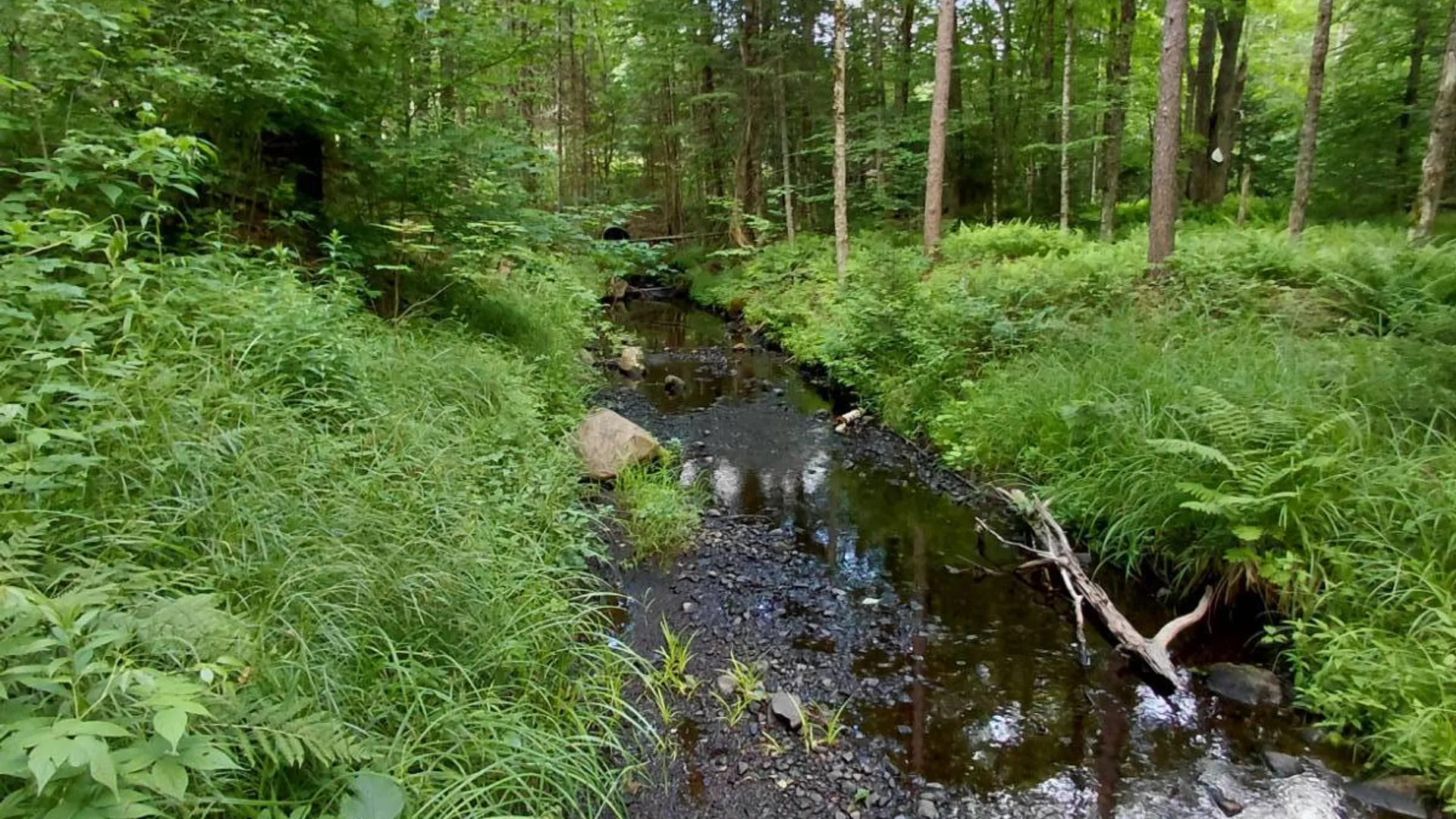 Property at 955 Irish Settlement Rd, Dolgeville, NY 13329 40