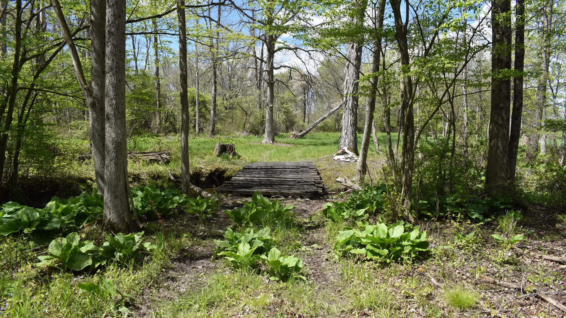 Property at W Main Street, Frewsburg, NY 14738 21