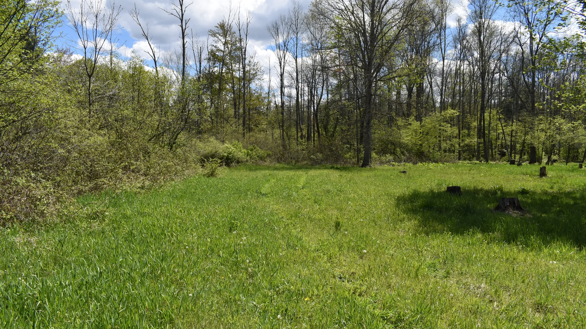 Property at W Main Street, Frewsburg, NY 14738 24