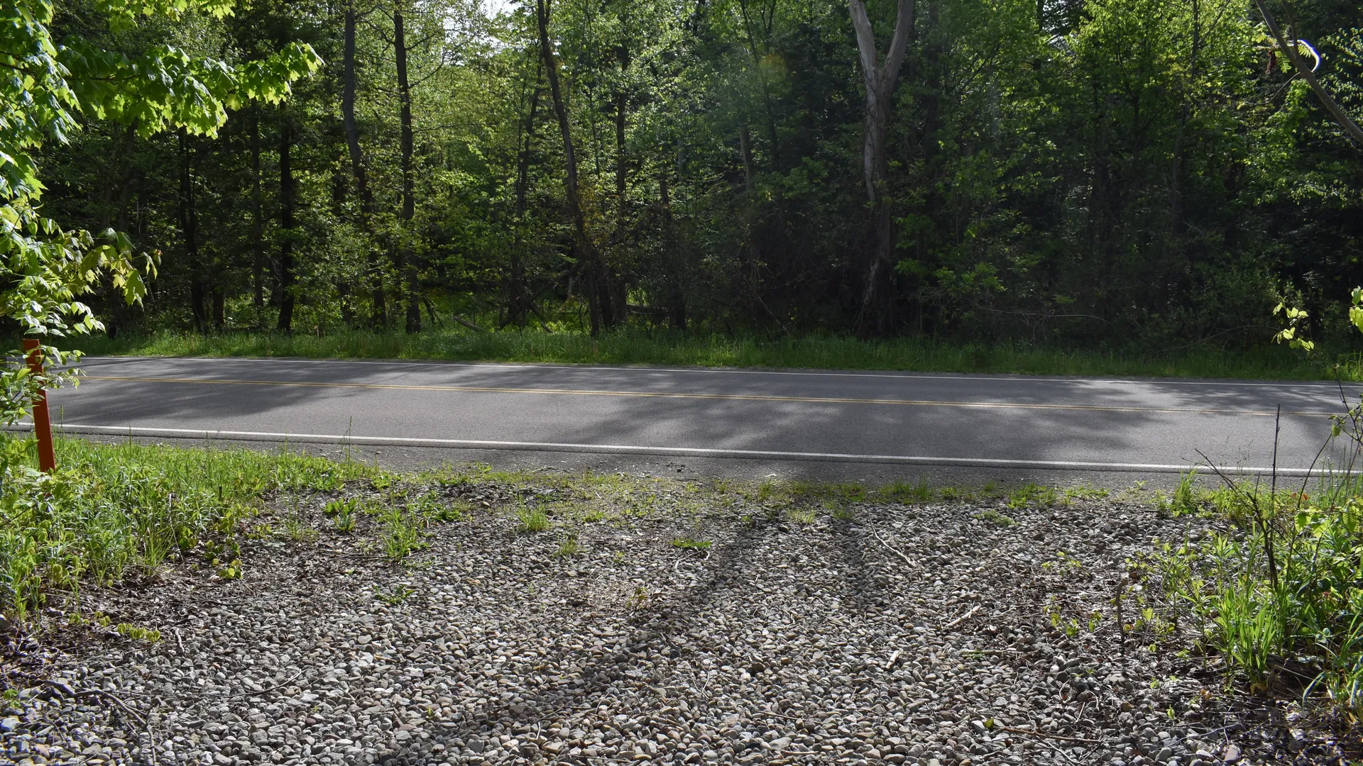 Property at 10133 Edwards Corners Road, Perrysburg, NY 14129 26