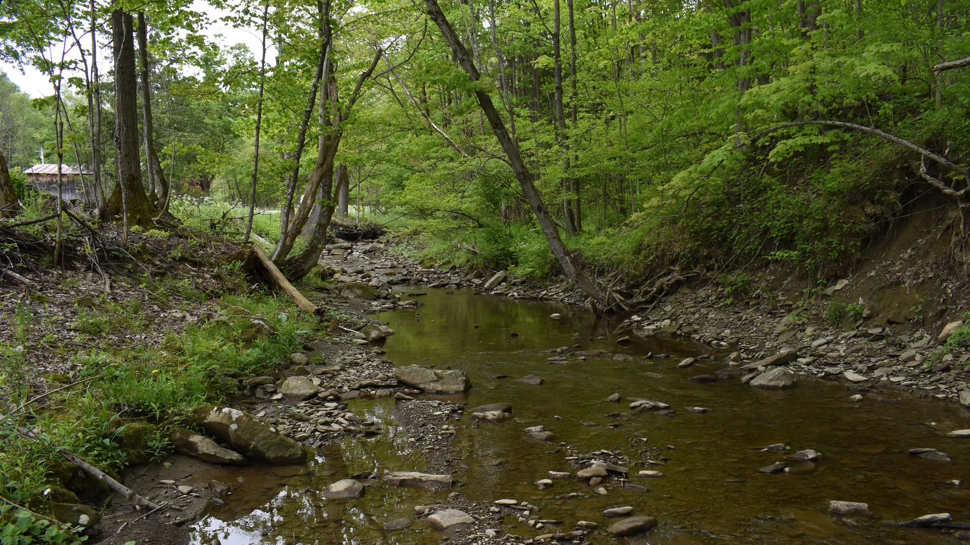 Property at Harris Hollow Road, Gerry, NY 14740 3