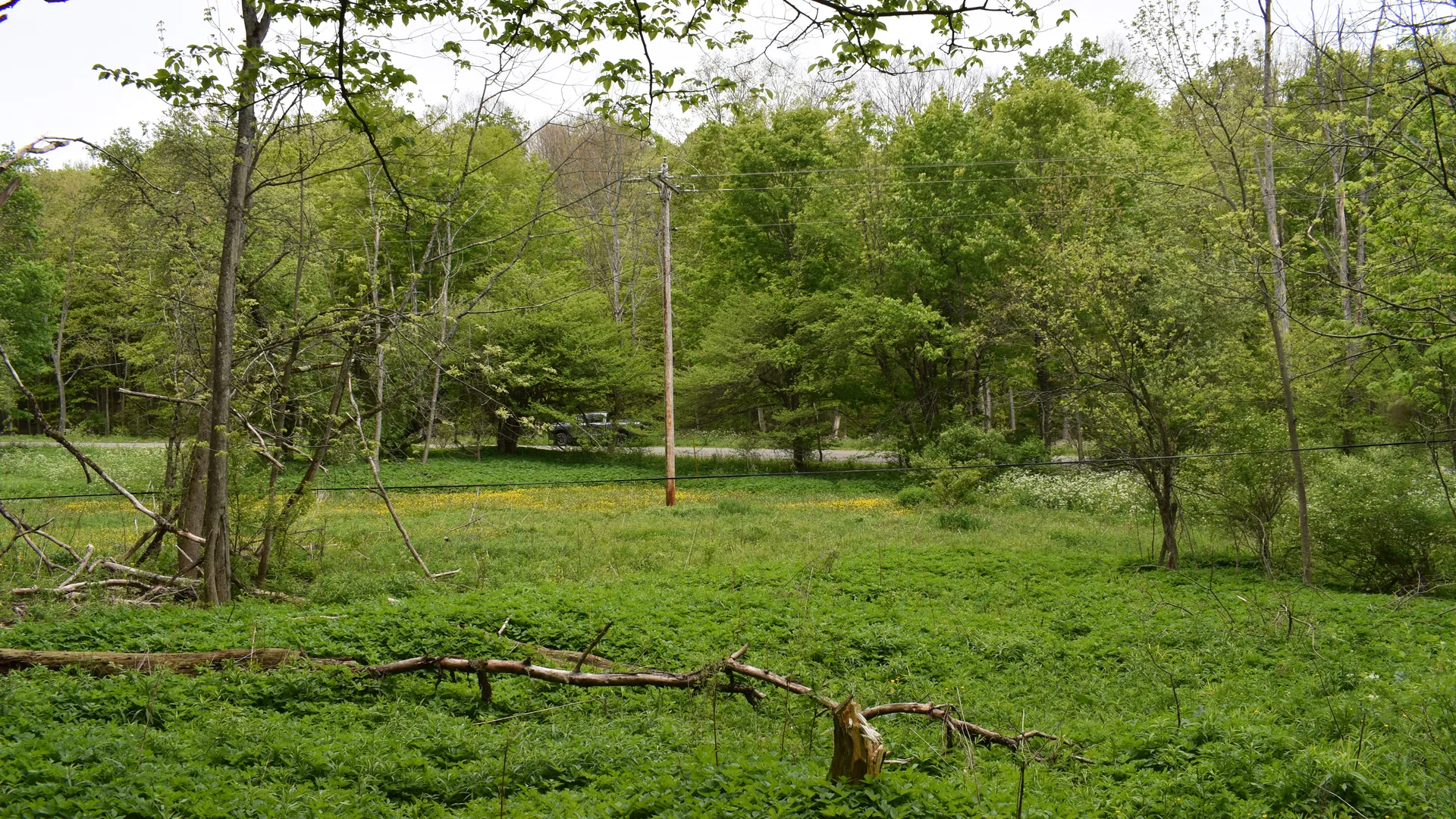 Property at Harris Hollow Road, Gerry, NY 14740 6