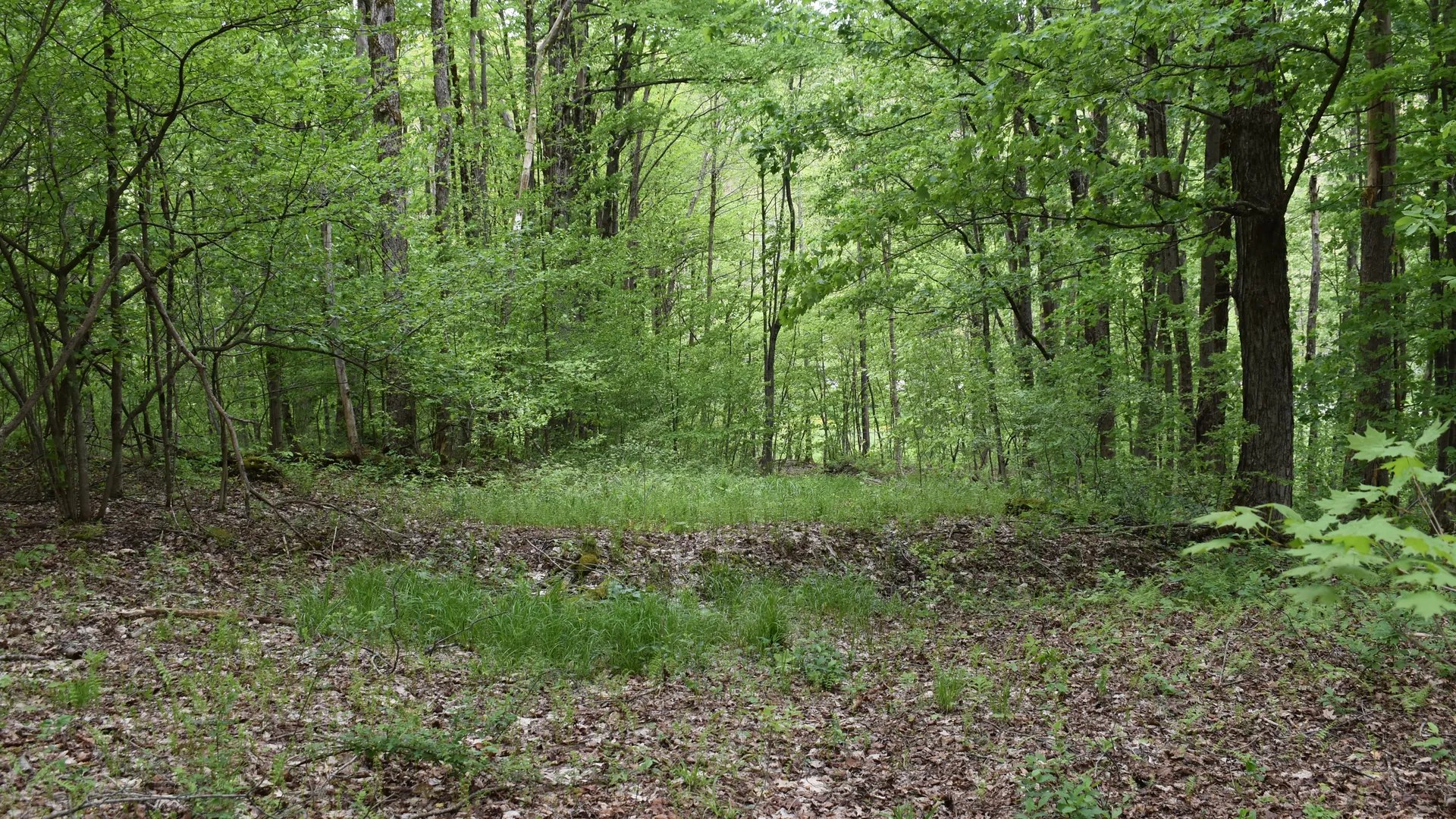 Property at Harris Hollow Road, Gerry, NY 14740 13