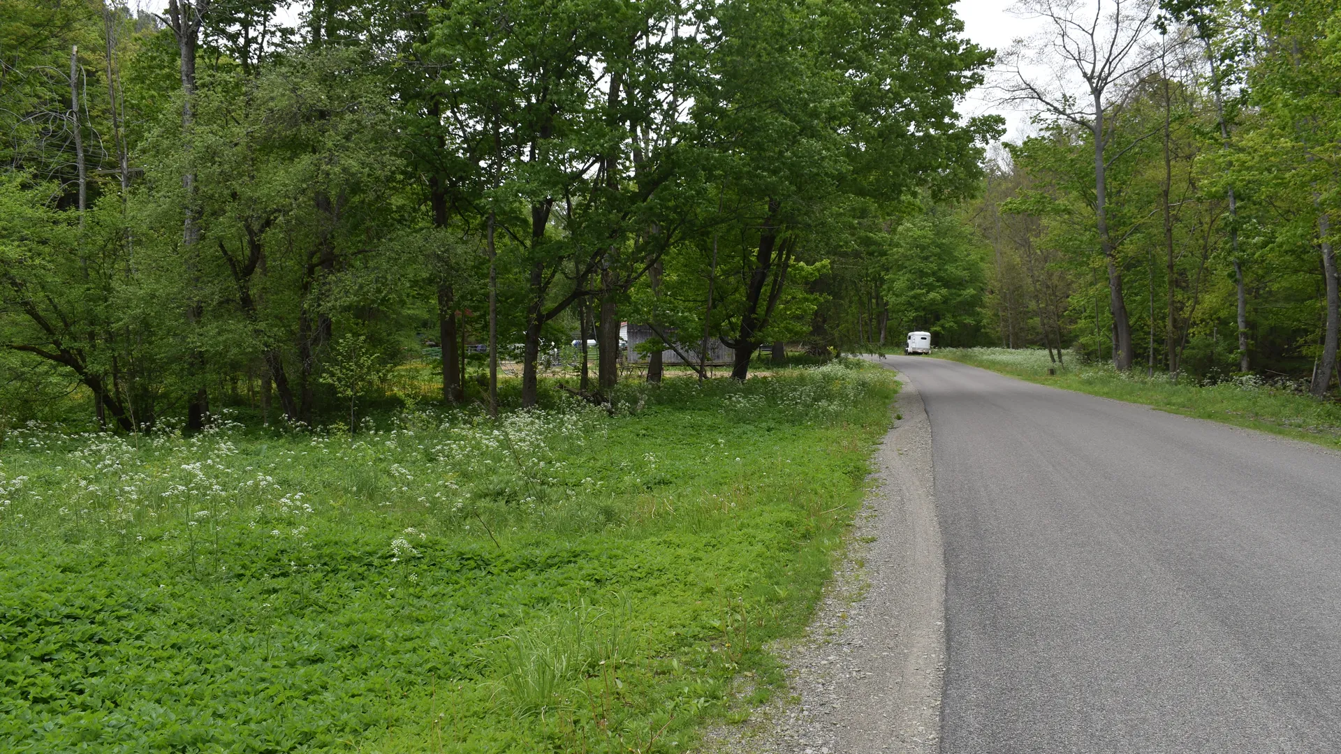 Property at Harris Hollow Road, Gerry, NY 14740 22