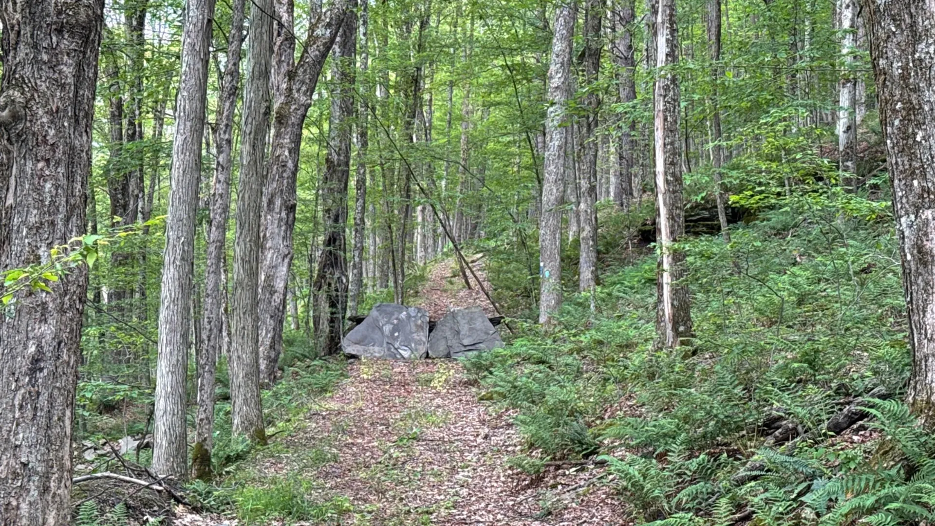 Property at 147 Pangman Rd, Gilboa, NY 12076 82