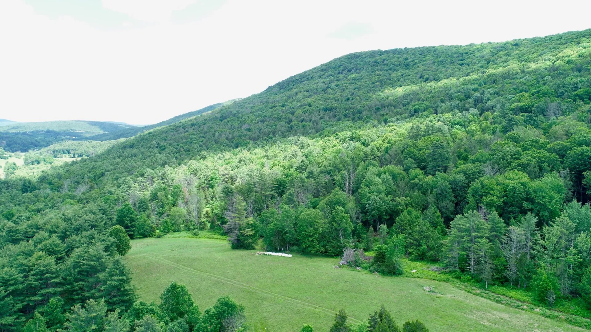 Property at 147 Pangman Rd, Gilboa, NY 12076 8
