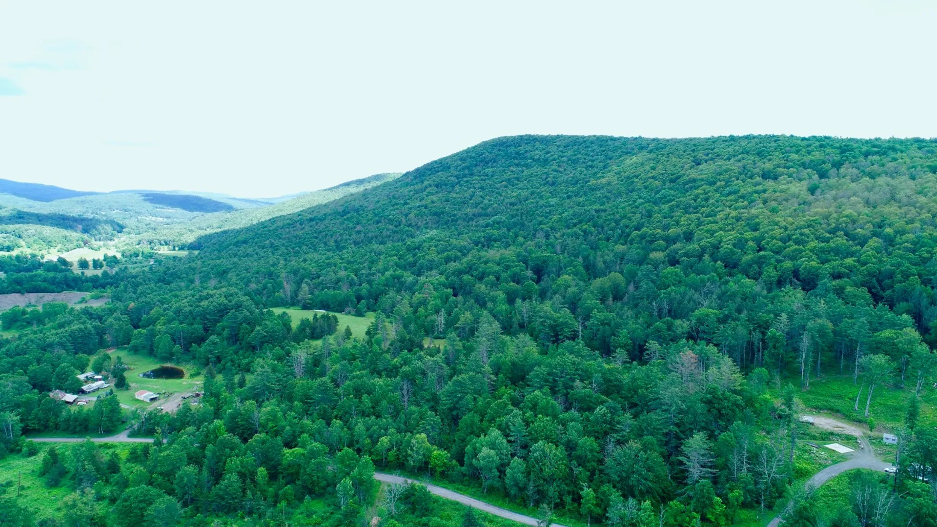 Property at 147 Pangman Rd, Gilboa, NY 12076 92
