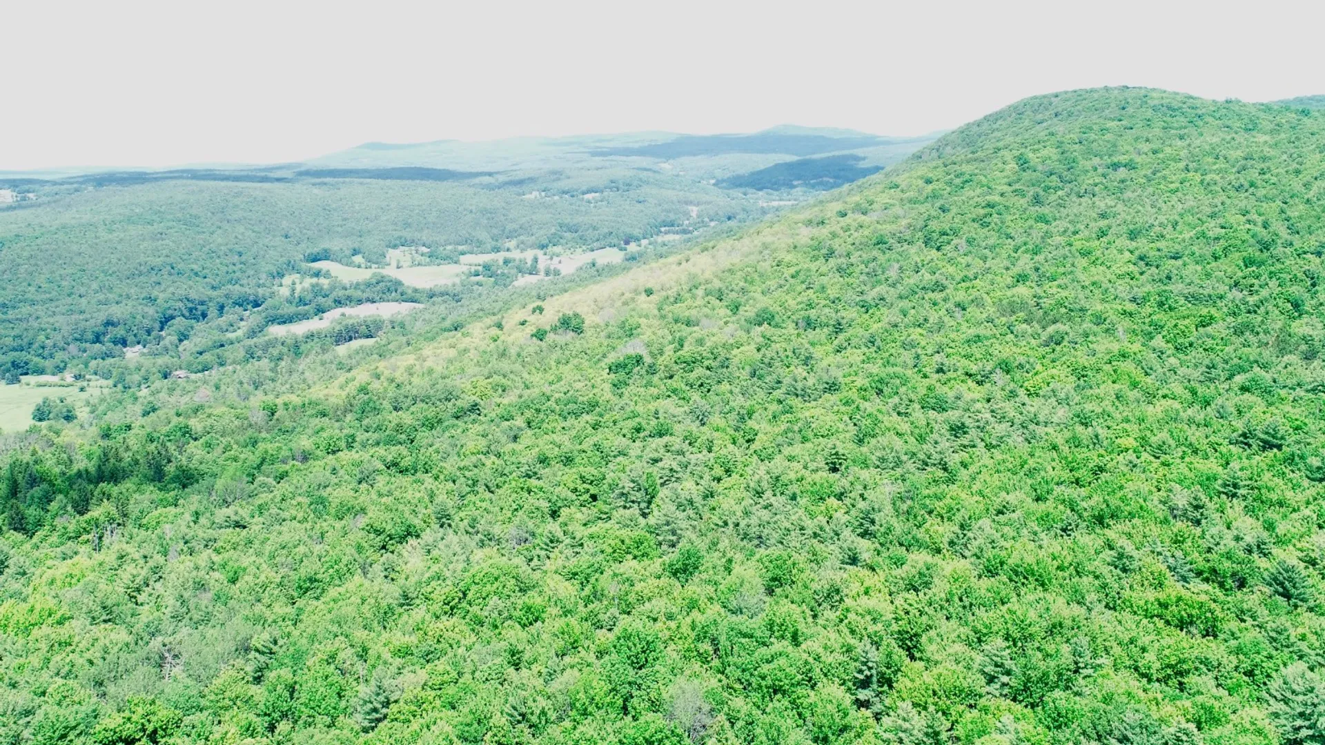 Property at 147 Pangman Rd, Gilboa, NY 12076 9