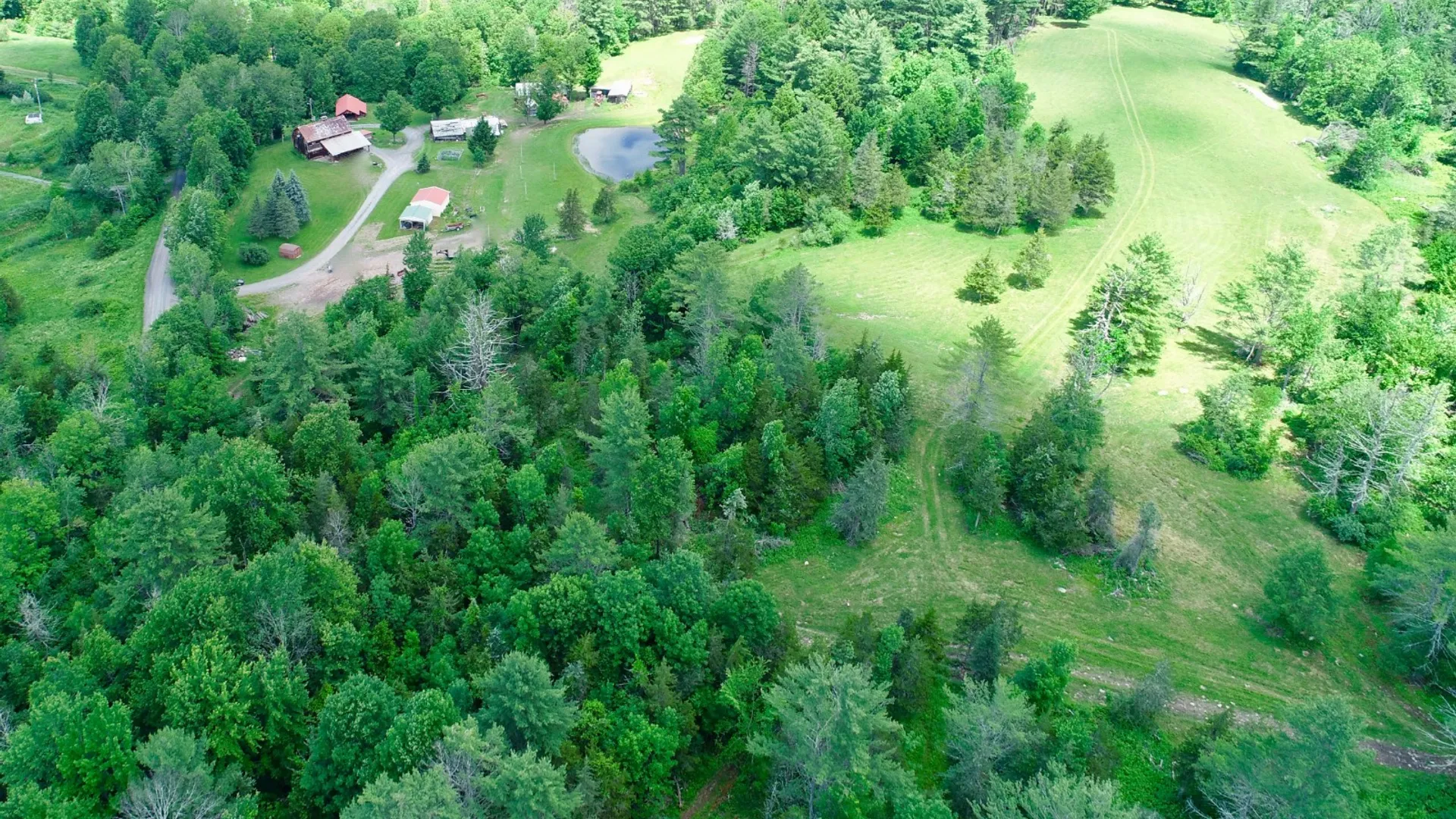 Property at 147 Pangman Rd, Gilboa, NY 12076 6