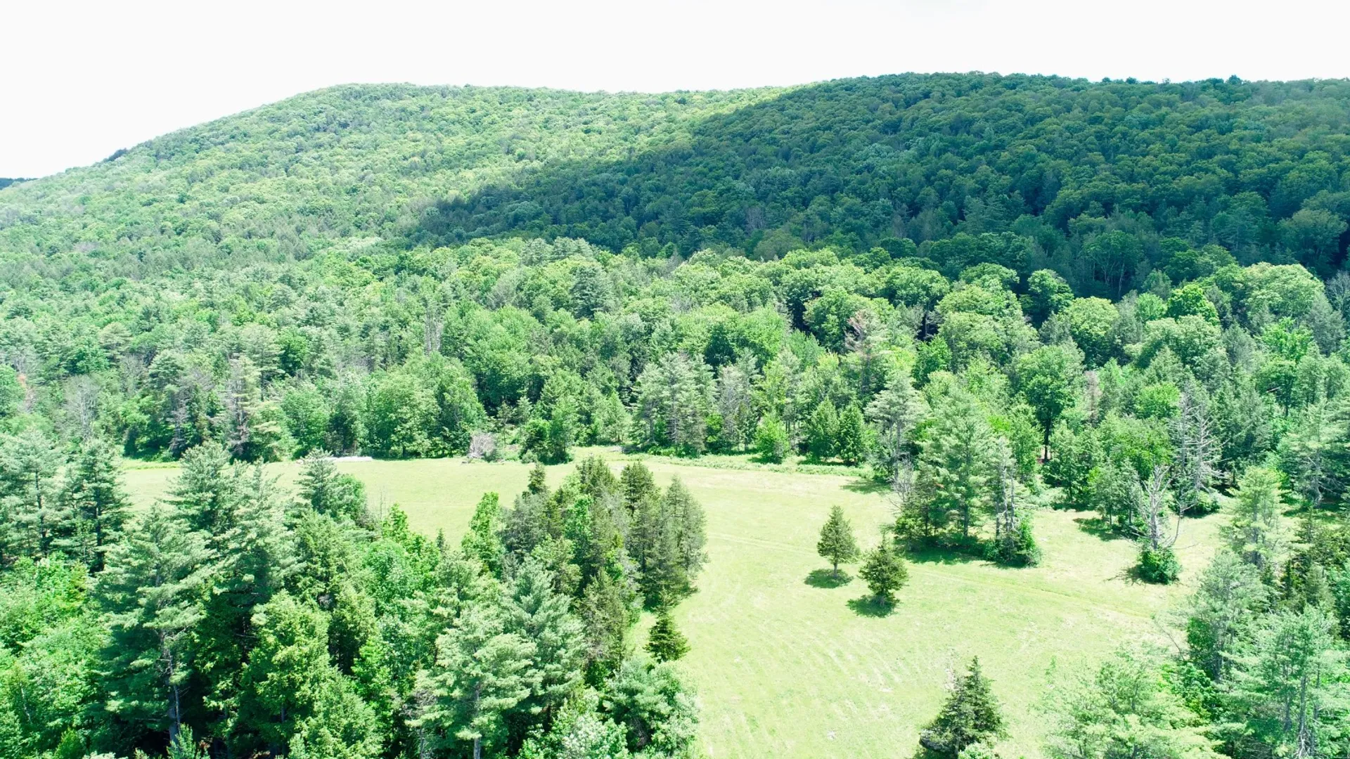 Property at 147 Pangman Rd, Gilboa, NY 12076 89