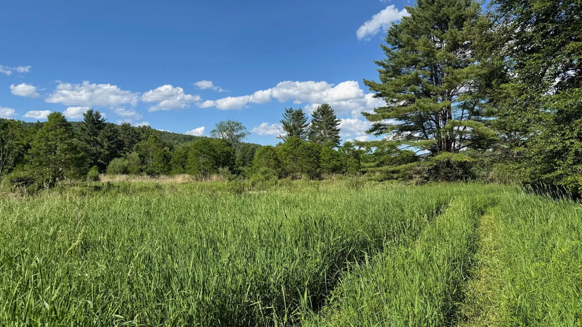 Property at 147 Pangman Rd, Gilboa, NY 12076 58