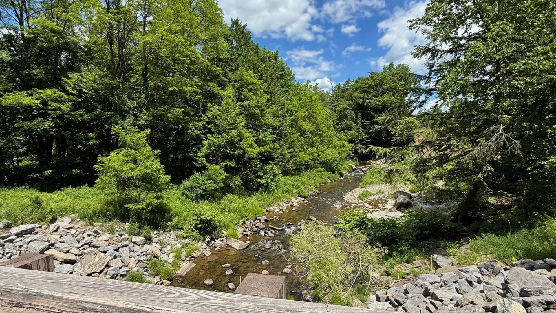 Property at 147 Pangman Rd, Gilboa, NY 12076 59