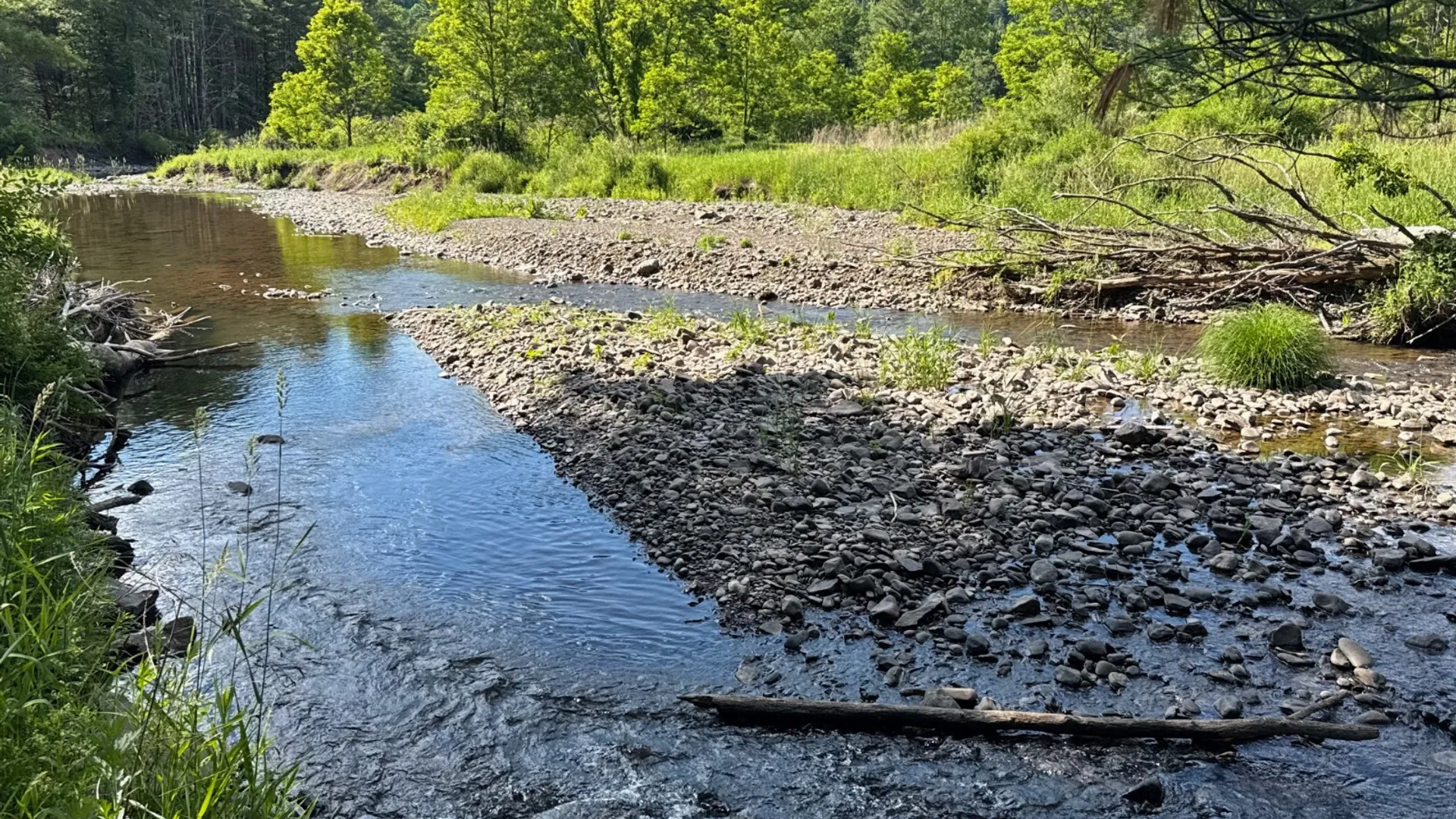 Property at 147 Pangman Rd, Gilboa, NY 12076 62