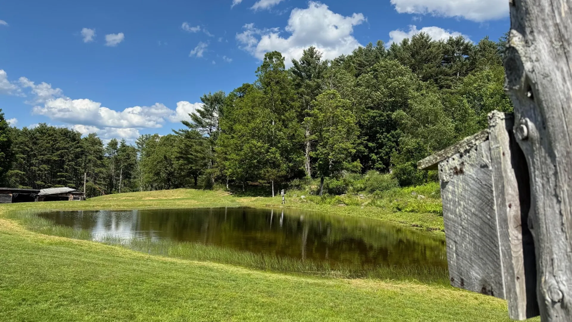Property at 147 Pangman Rd, Gilboa, NY 12076 50