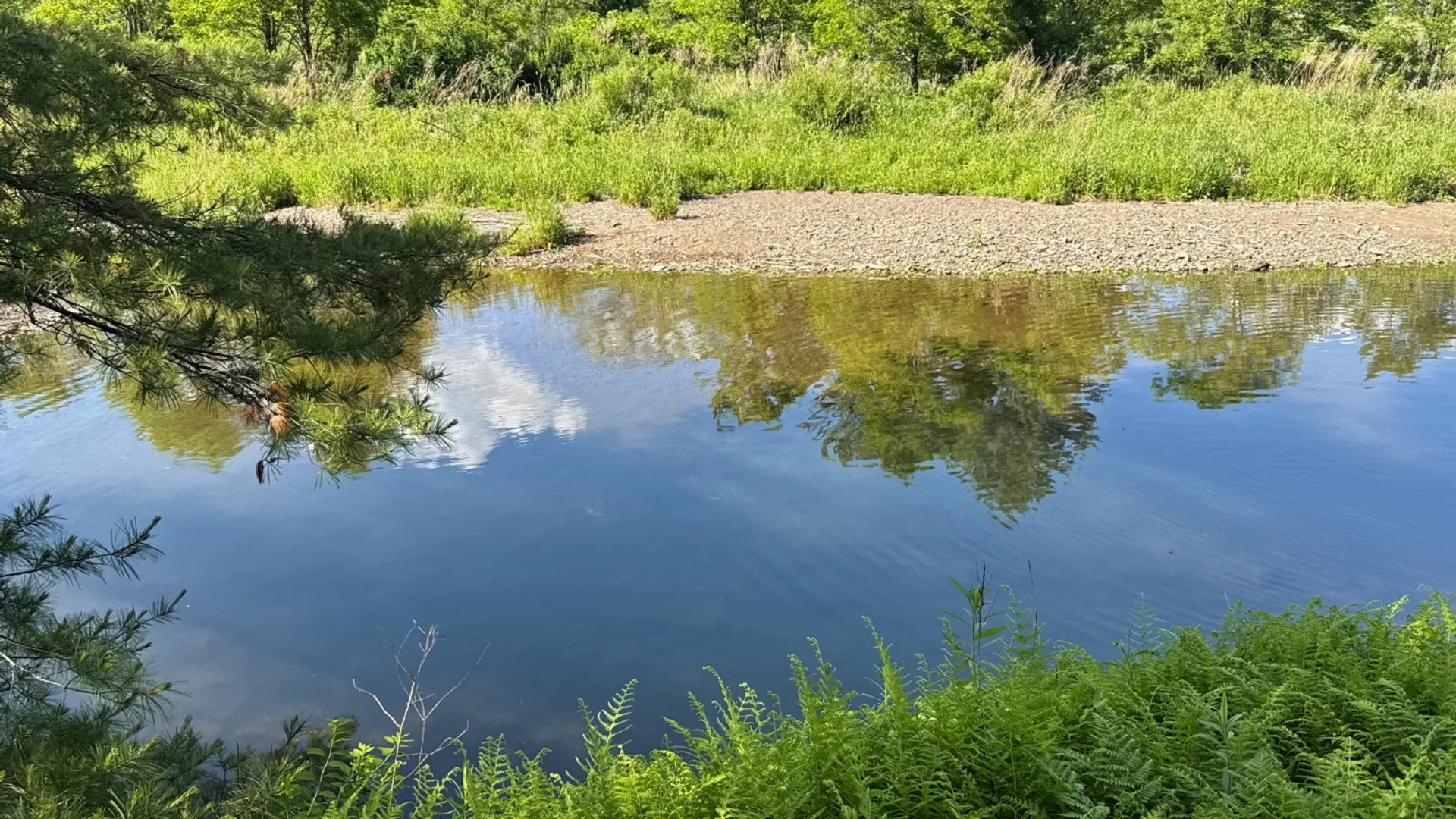 Property at 147 Pangman Rd, Gilboa, NY 12076 87