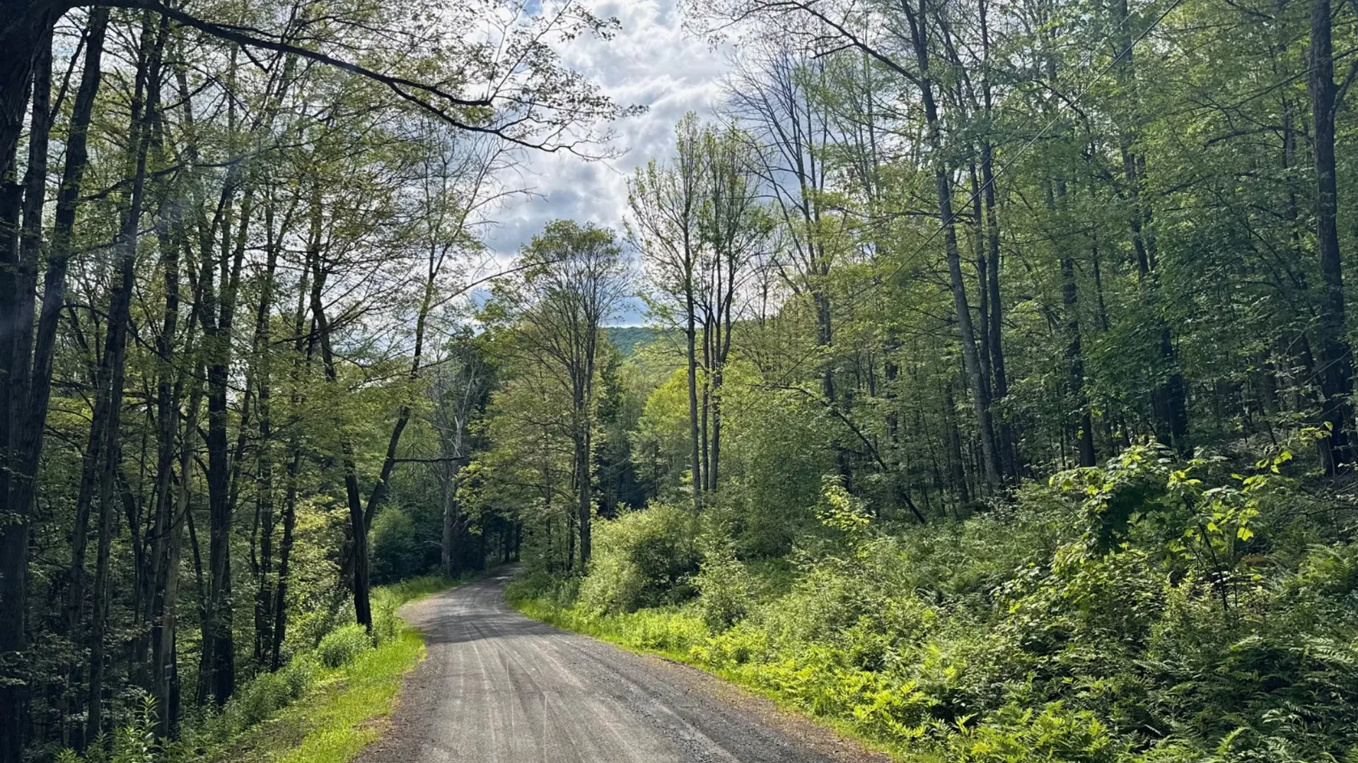 Property at 147 Pangman Rd, Gilboa, NY 12076 66