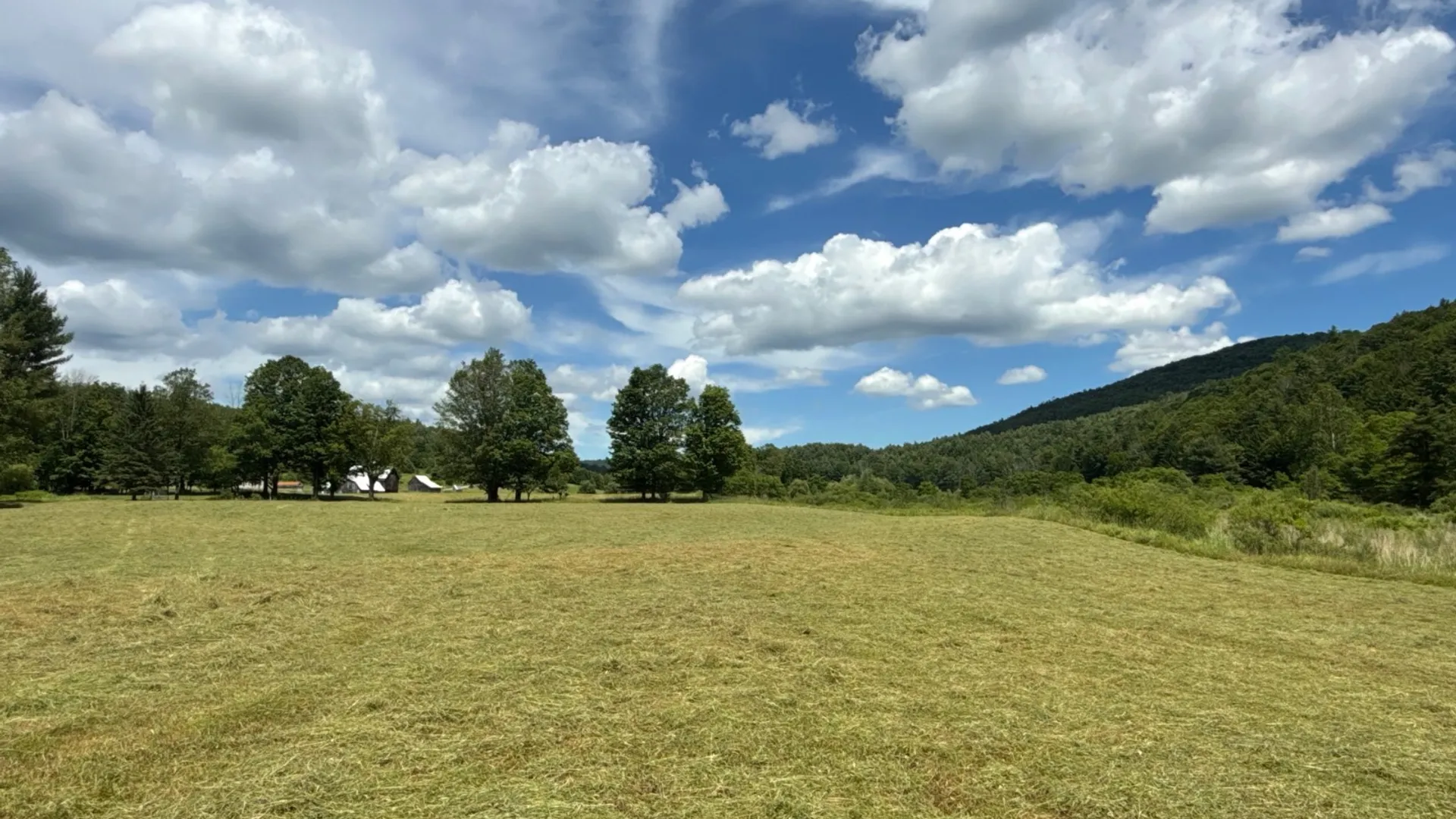 Property at 147 Pangman Rd, Gilboa, NY 12076 86