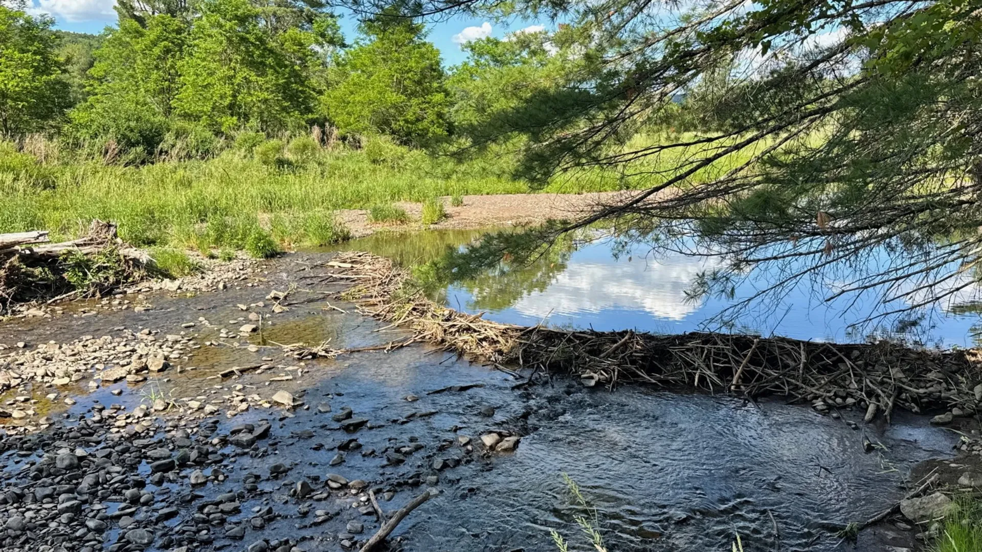 Property at 147 Pangman Rd, Gilboa, NY 12076 61
