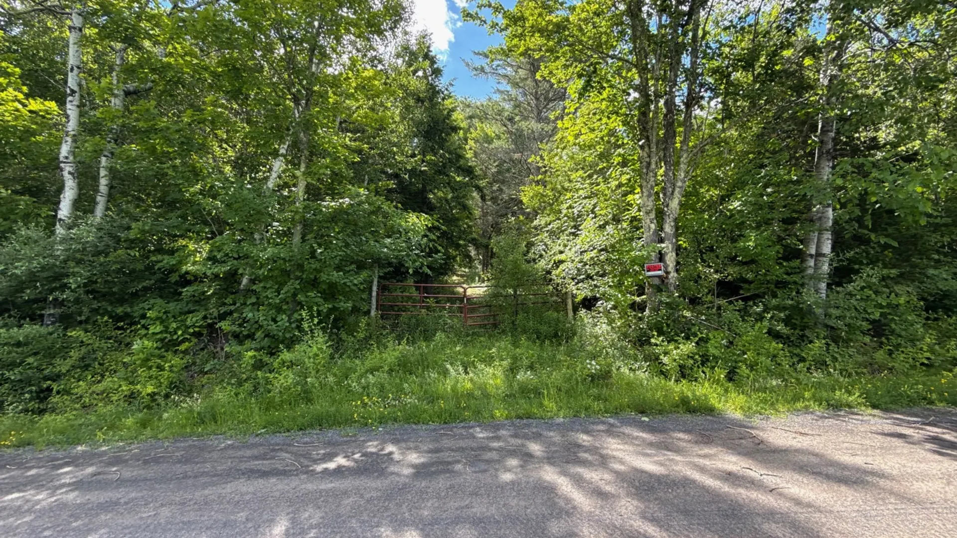 Property at 147 Pangman Rd, Gilboa, NY 12076 68