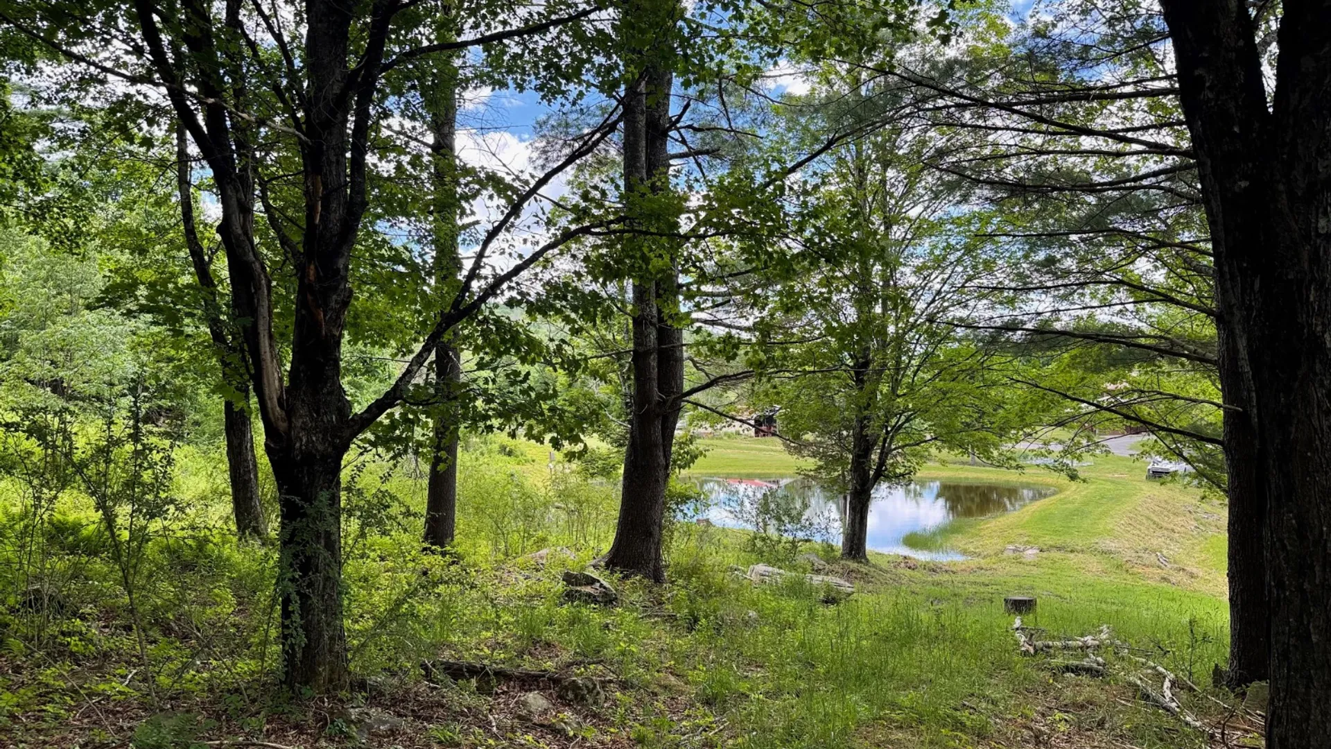 Property at 147 Pangman Rd, Gilboa, NY 12076 56