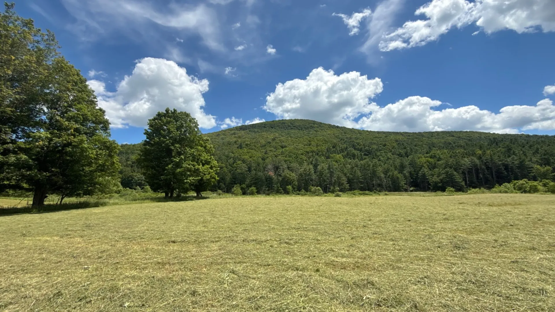 Property at 147 Pangman Rd, Gilboa, NY 12076 85