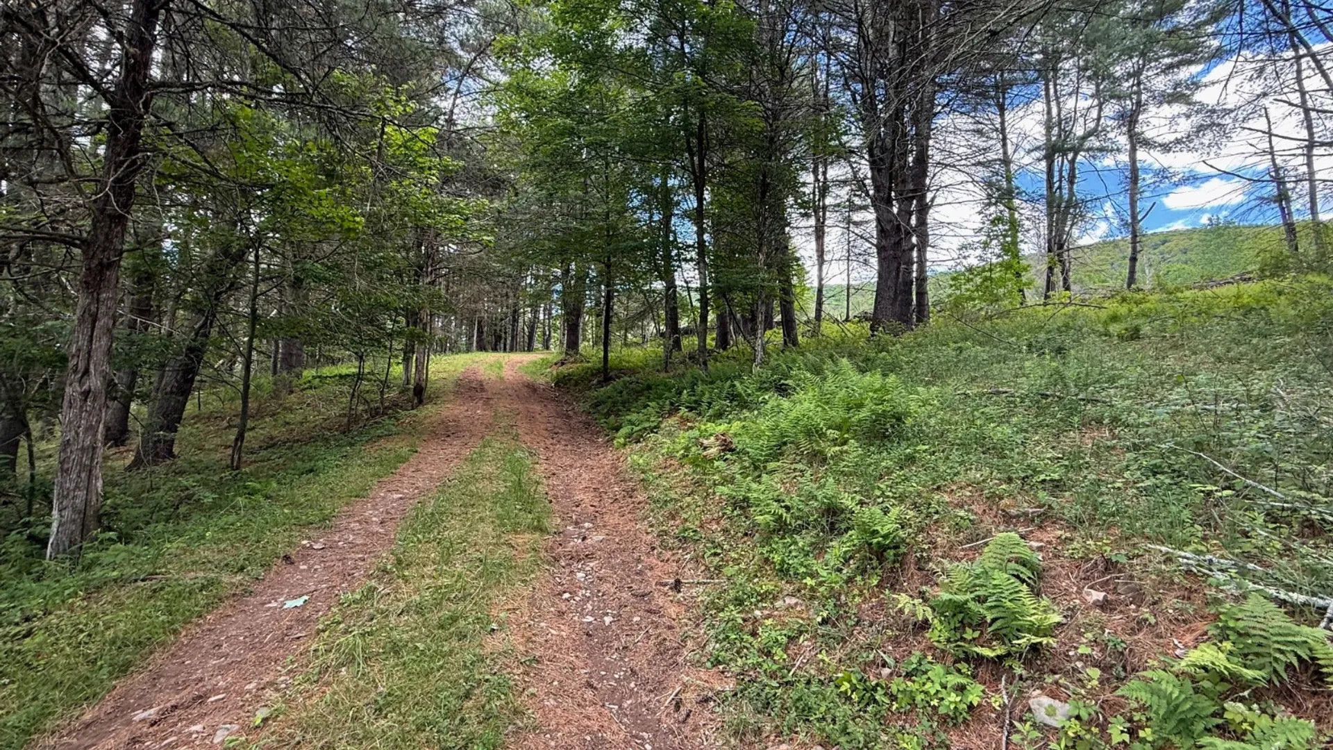 Property at 147 Pangman Rd, Gilboa, NY 12076 57