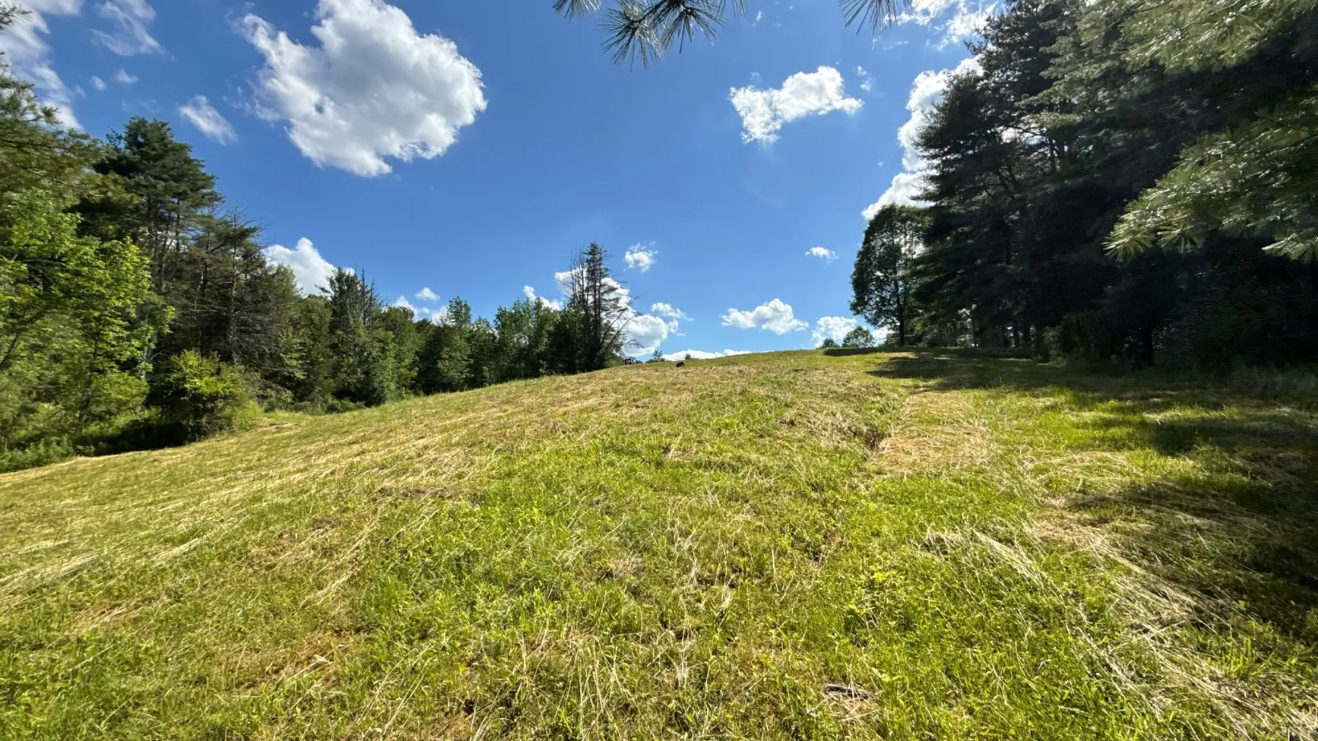 Property at 147 Pangman Rd, Gilboa, NY 12076 12