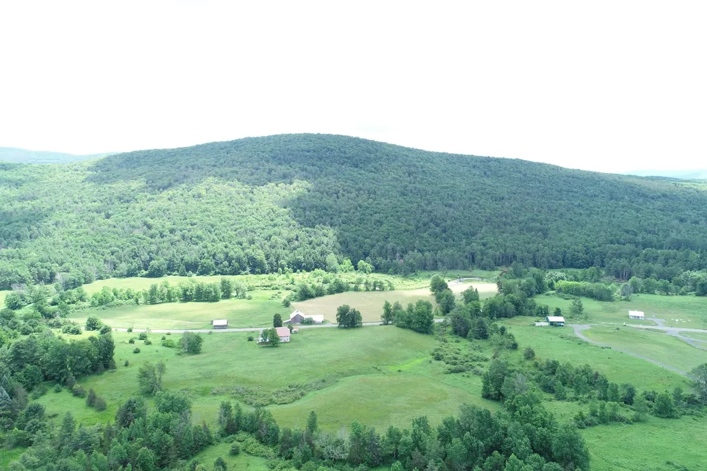Property at 1061 State Route 990V, Gilboa, NY 12076