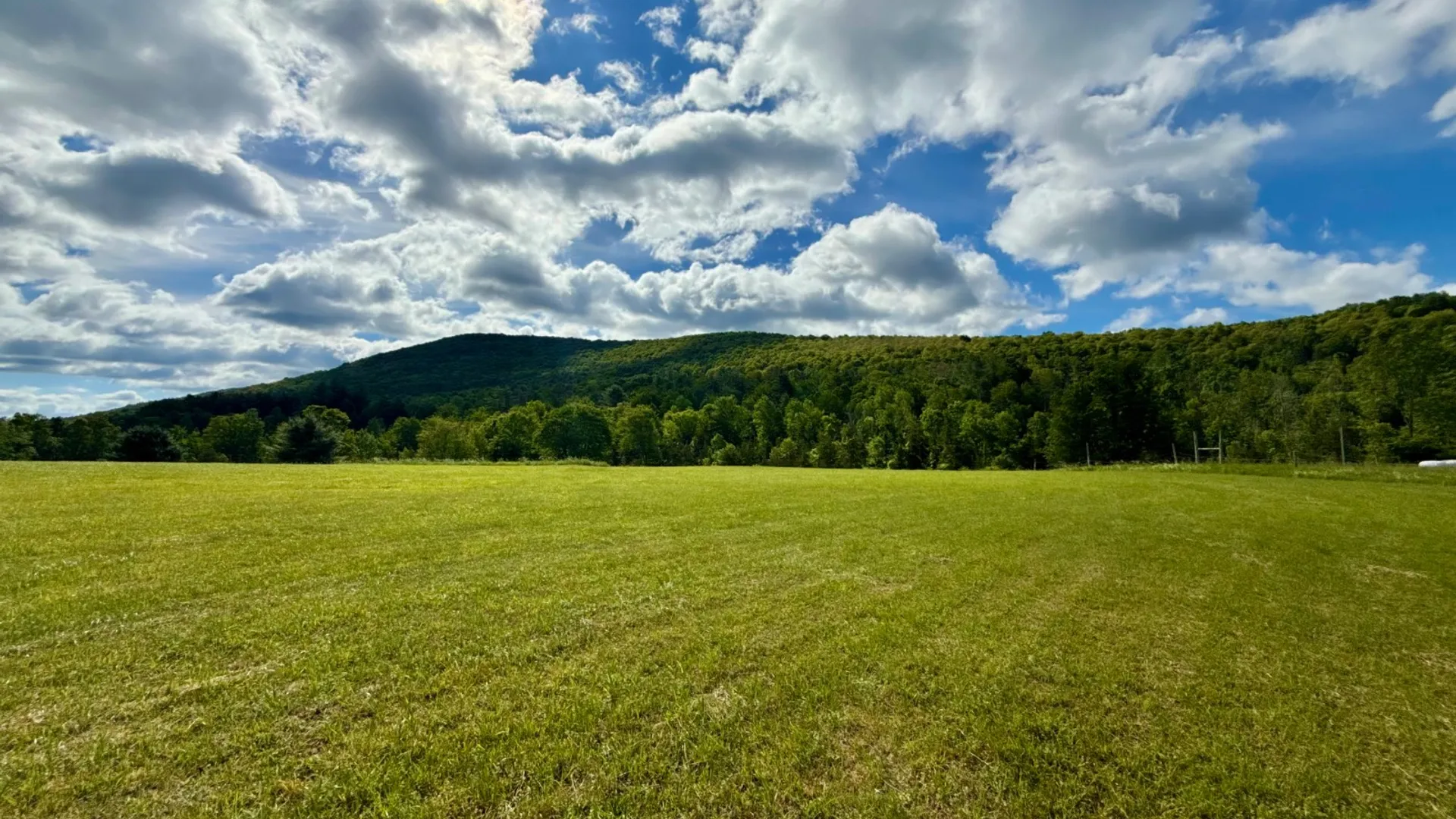Property at 1061 State Route 990V, Gilboa, NY 12076 28