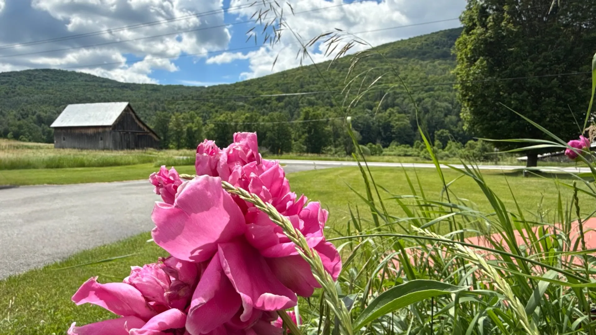 Property at 1061 State Route 990V, Gilboa, NY 12076 12