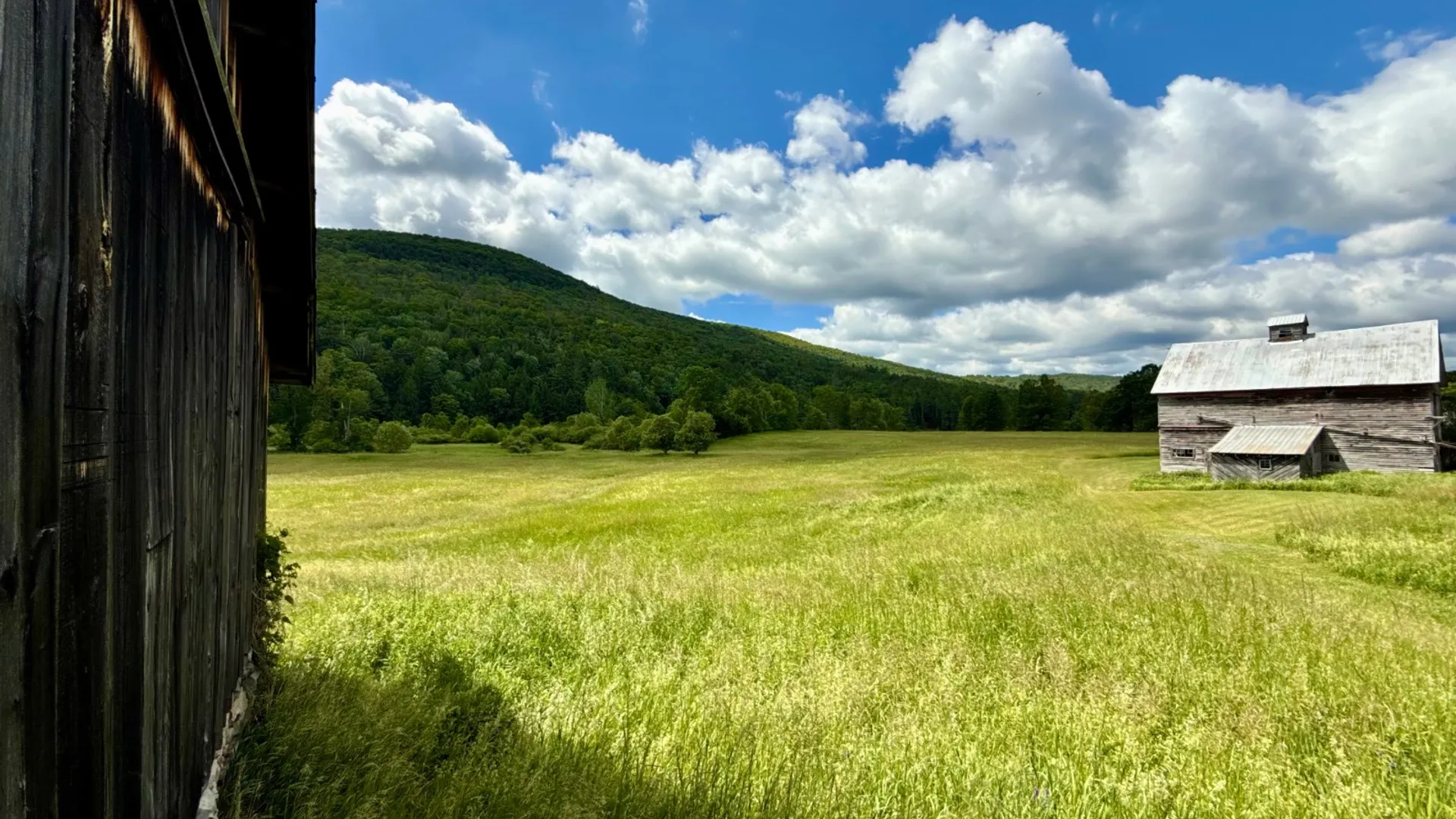 Property at 1061 State Route 990V, Gilboa, NY 12076 48