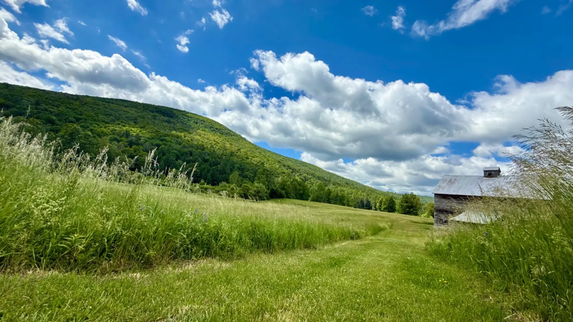Property at 1061 State Route 990V, Gilboa, NY 12076 32