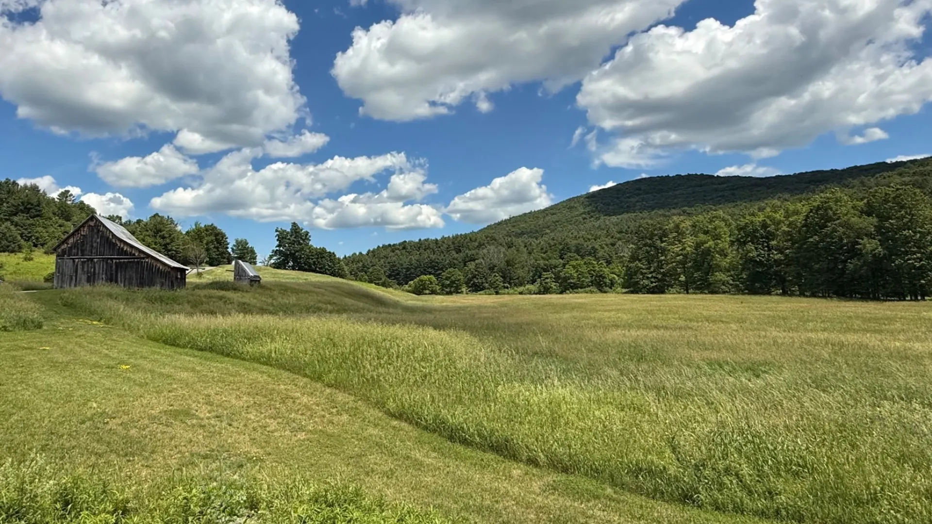 Property at 1061 State Route 990V, Gilboa, NY 12076 45
