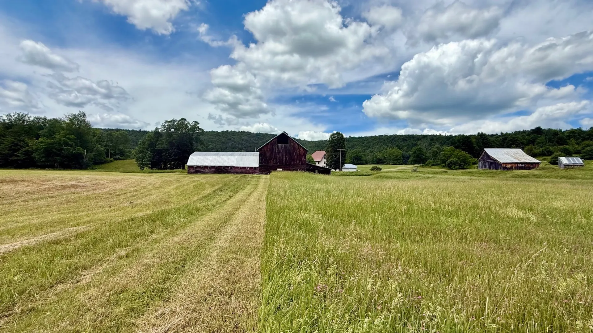 Property at 1061 State Route 990V, Gilboa, NY 12076 59