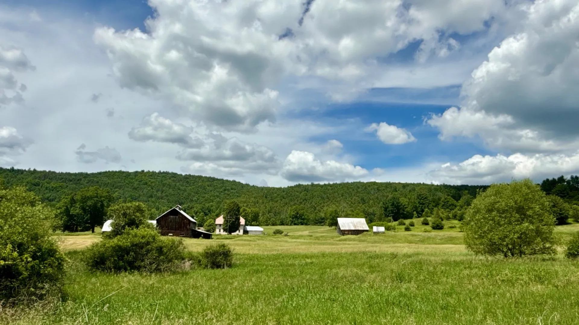 Property at 1061 State Route 990V, Gilboa, NY 12076 47