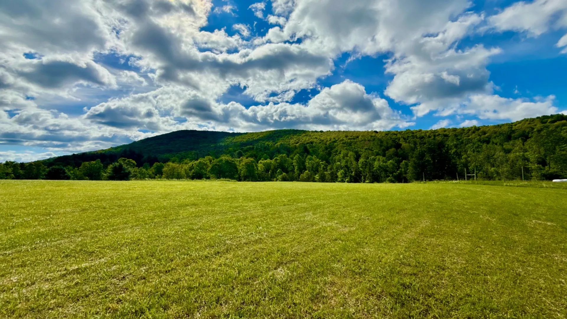 Property at 1061 State Route 990V, Gilboa, NY 12076 60