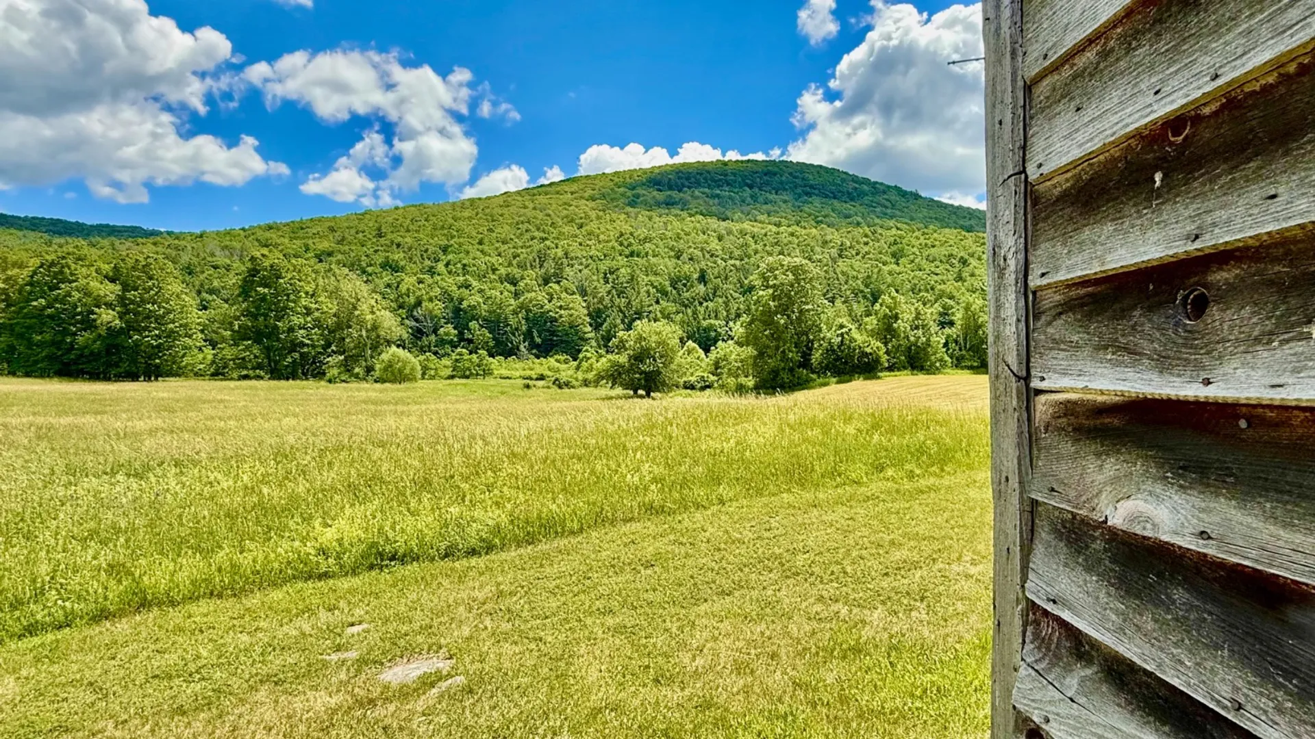 Property at 1061 State Route 990V, Gilboa, NY 12076 58
