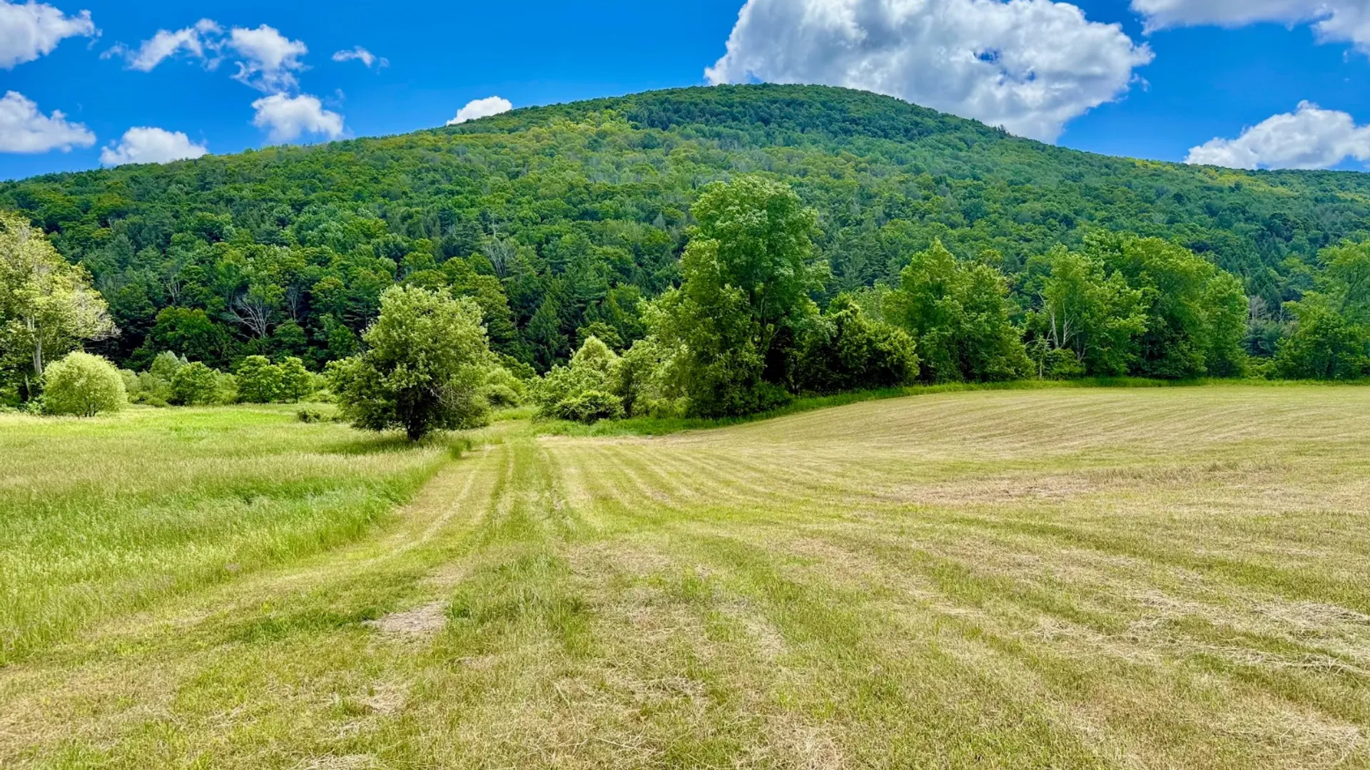 Property at 1061 State Route 990V, Gilboa, NY 12076 63