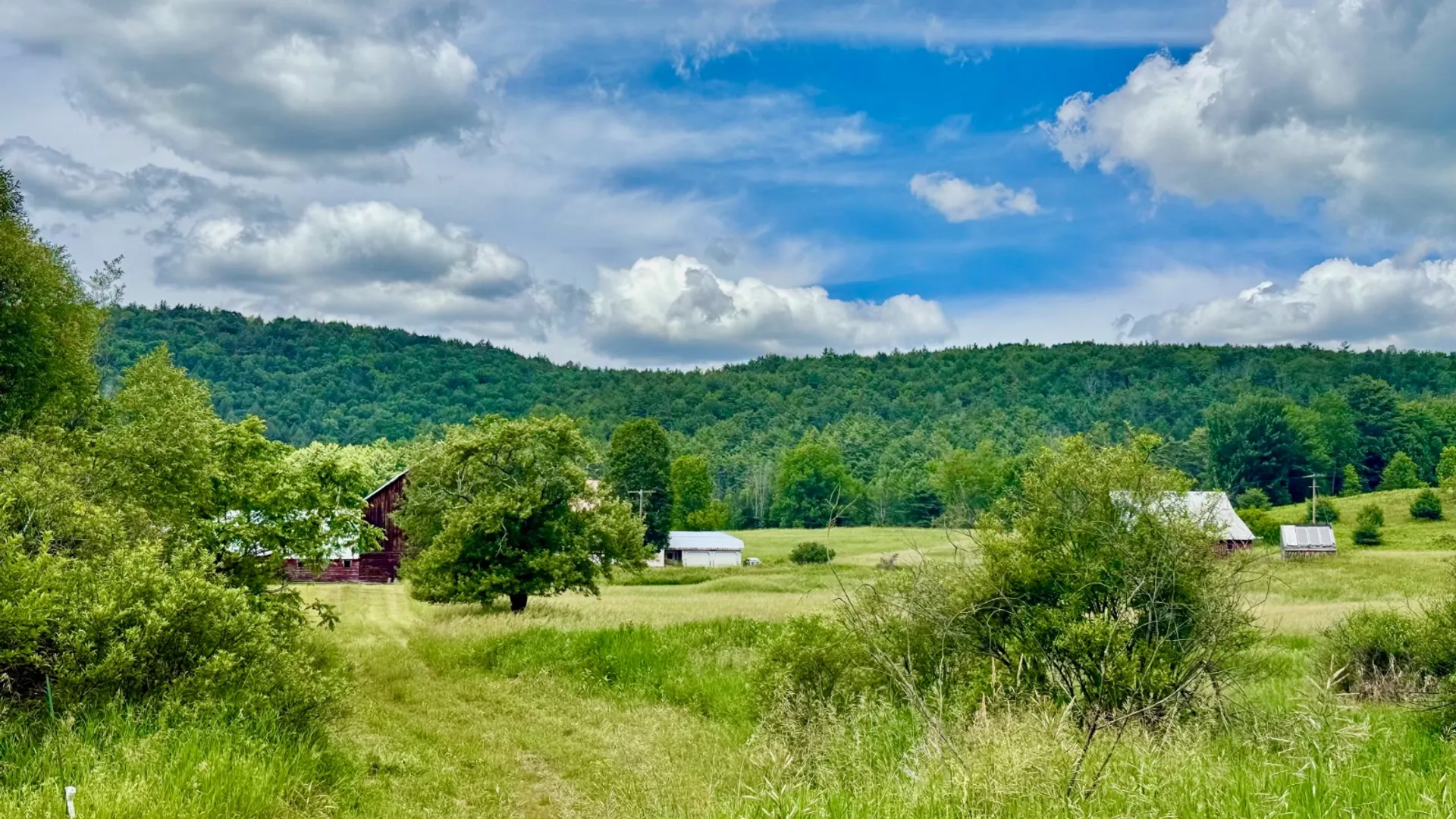Property at 1061 State Route 990V, Gilboa, NY 12076 69