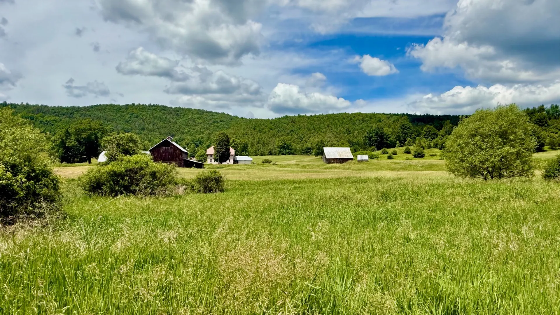 Property at 1061 State Route 990V, Gilboa, NY 12076 70