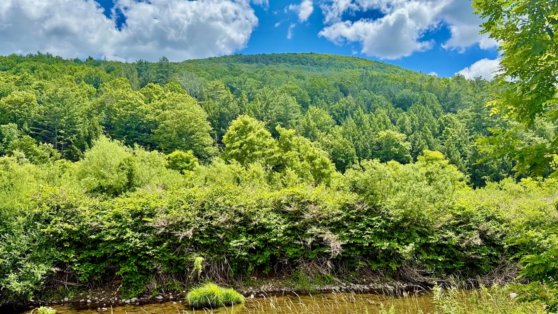 Property at 1061 State Route 990V, Gilboa, NY 12076 65